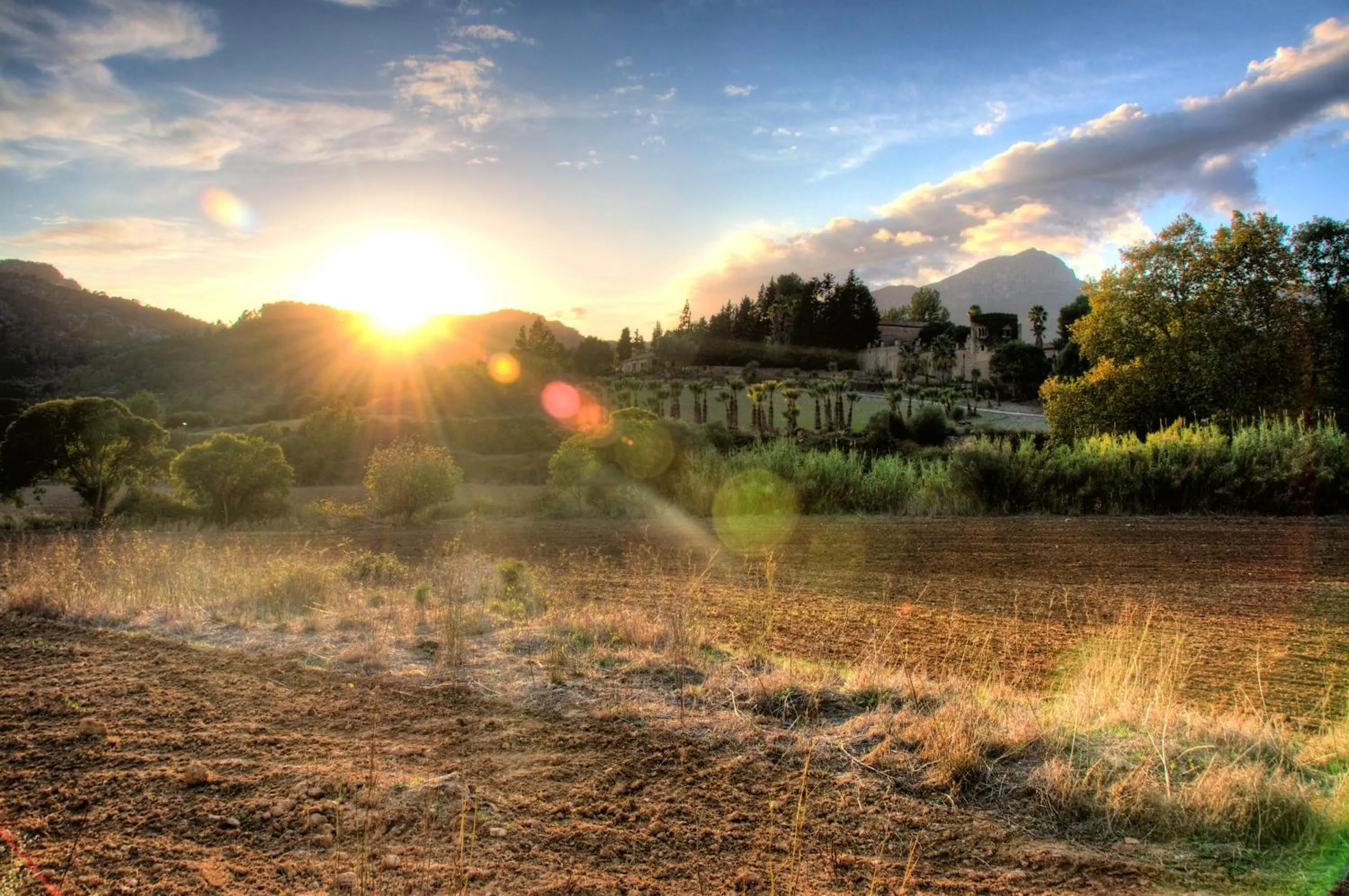 Natural landscape in Finca Son Pont