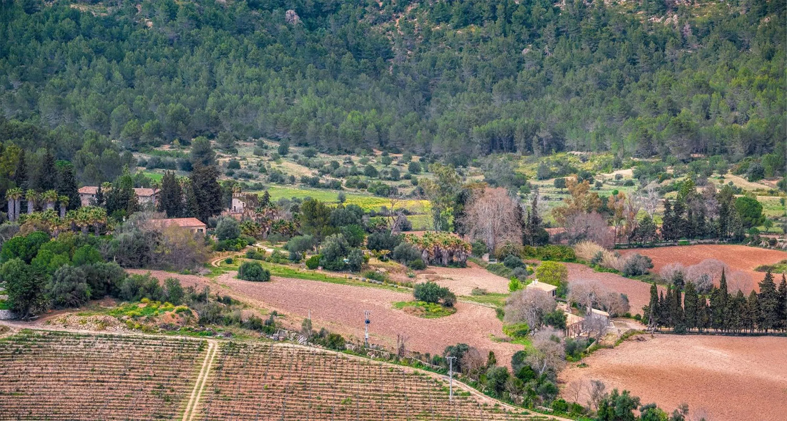 Mountain view in Finca Son Pont