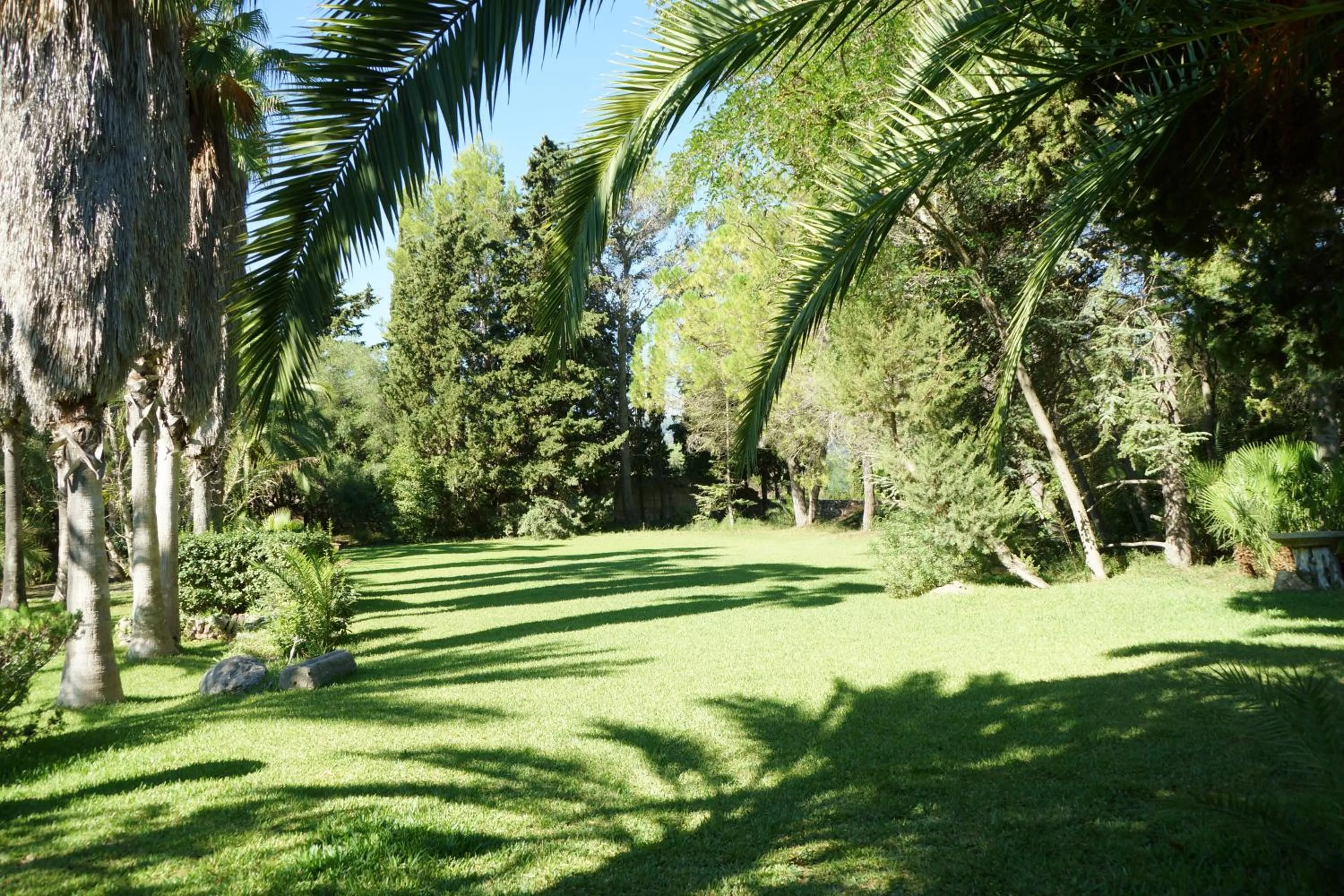 Garden in Finca Son Pont