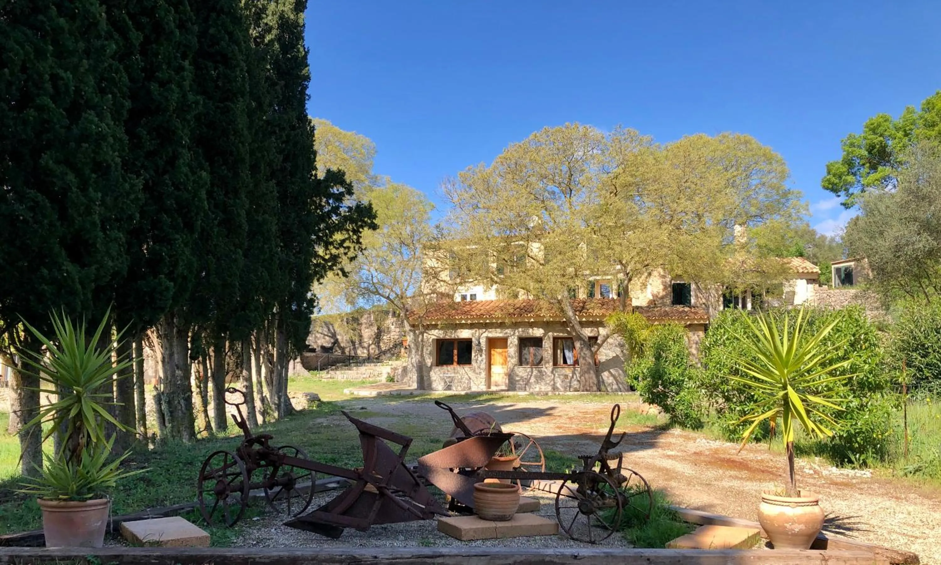 Garden in Finca Son Pont