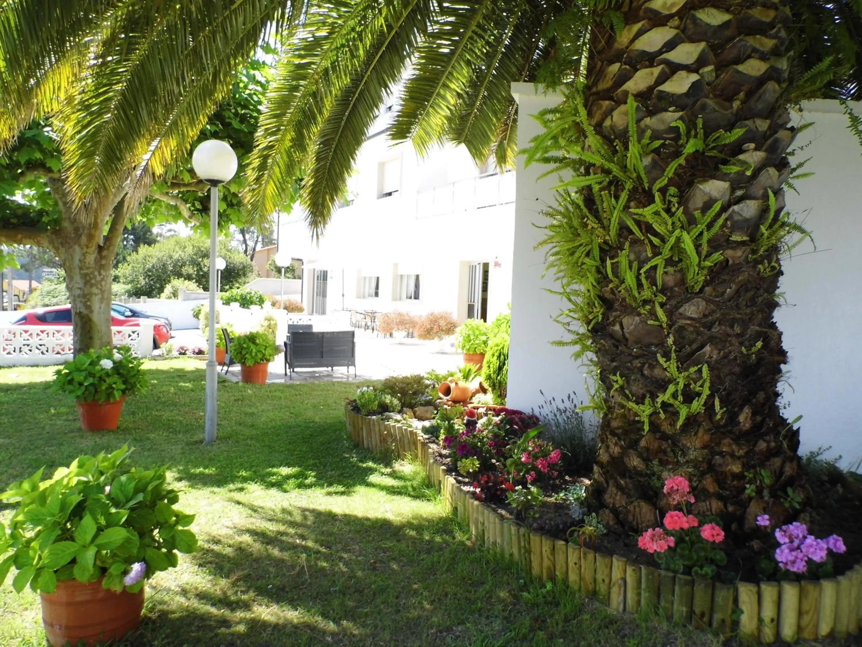 Garden in Hotel Arboleda