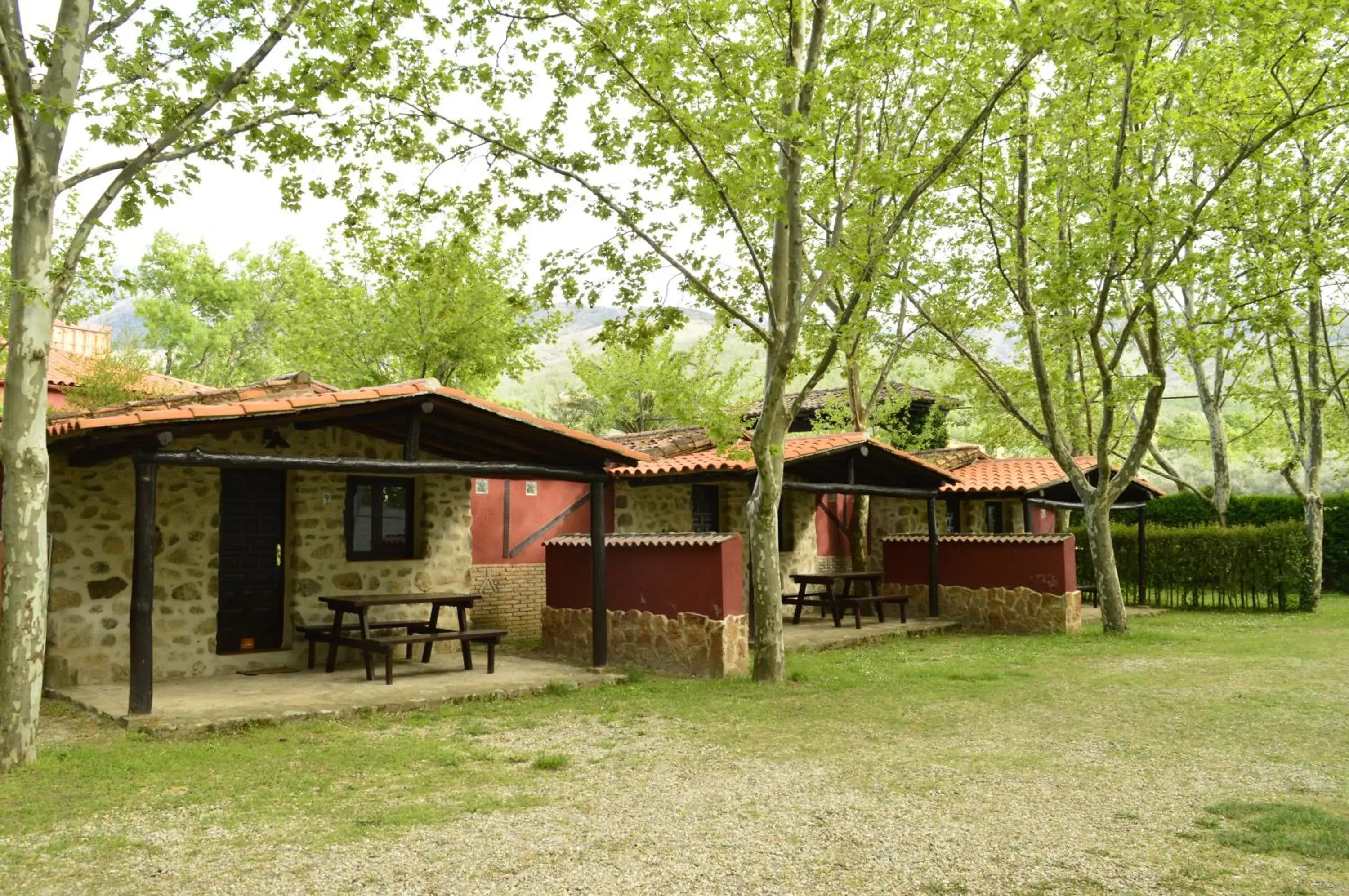 Camping El Pinajarro Camping El Pinajarro