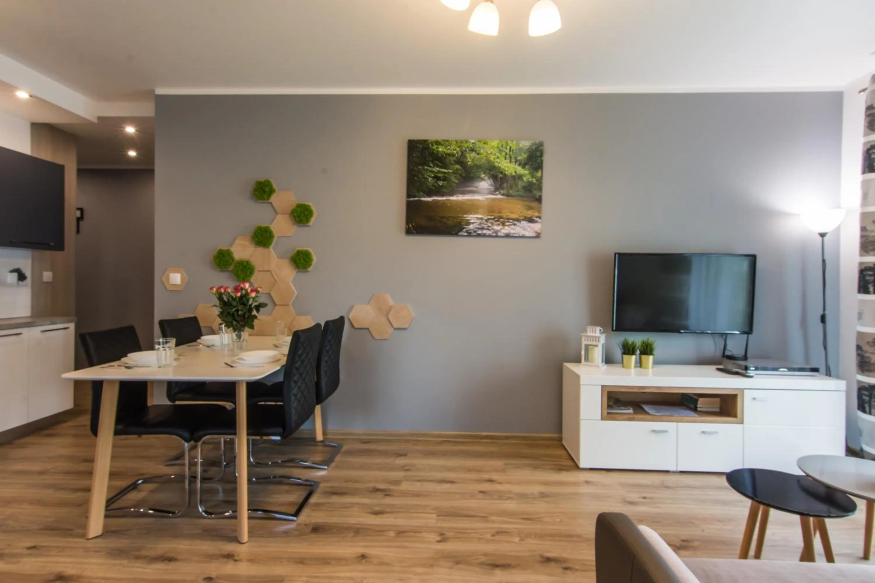 TV and multimedia in Apartamenty Izerskie - ul. Cicha 13H-I