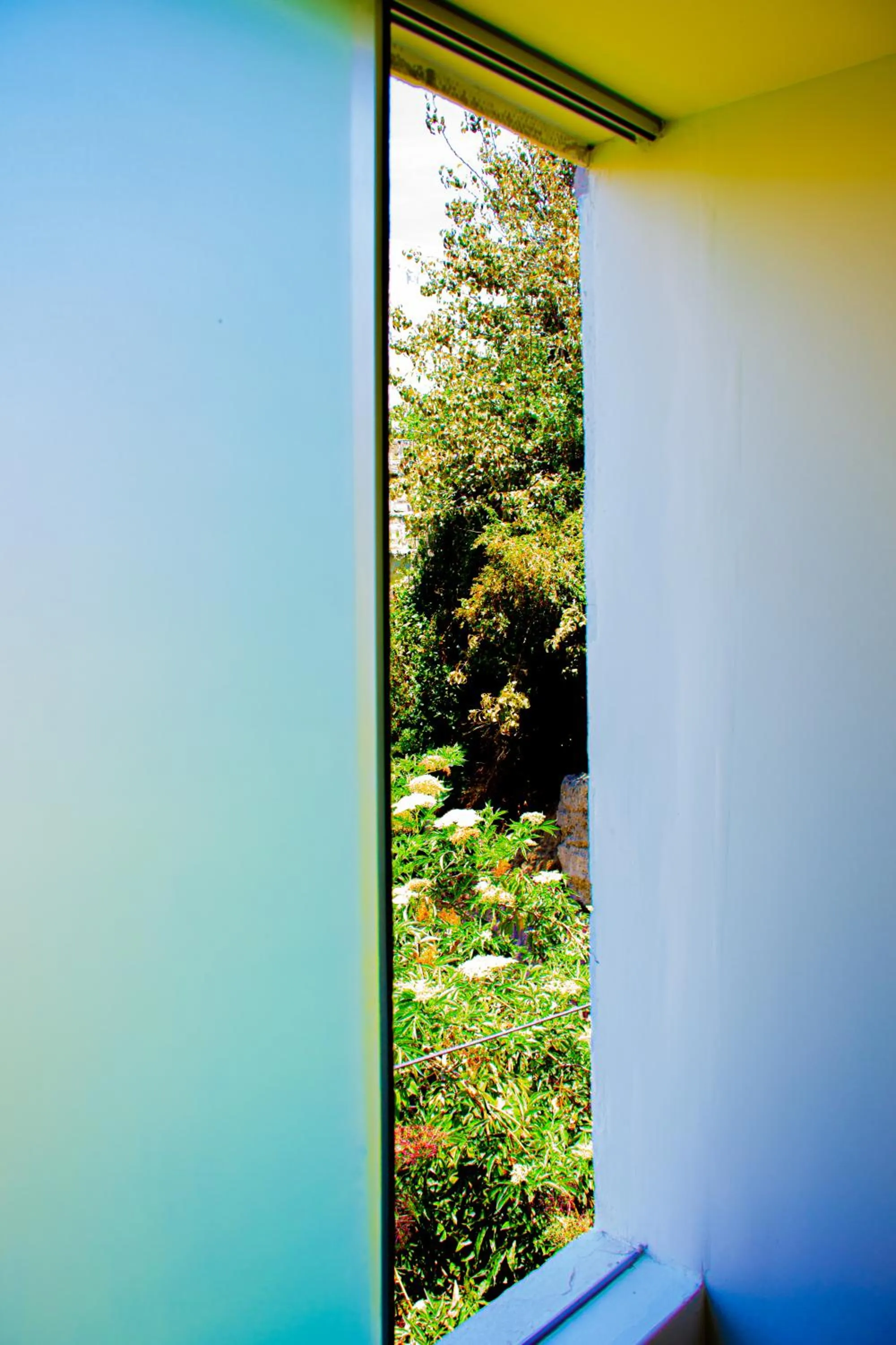 Garden view in Refugio Ecológico Arequipa