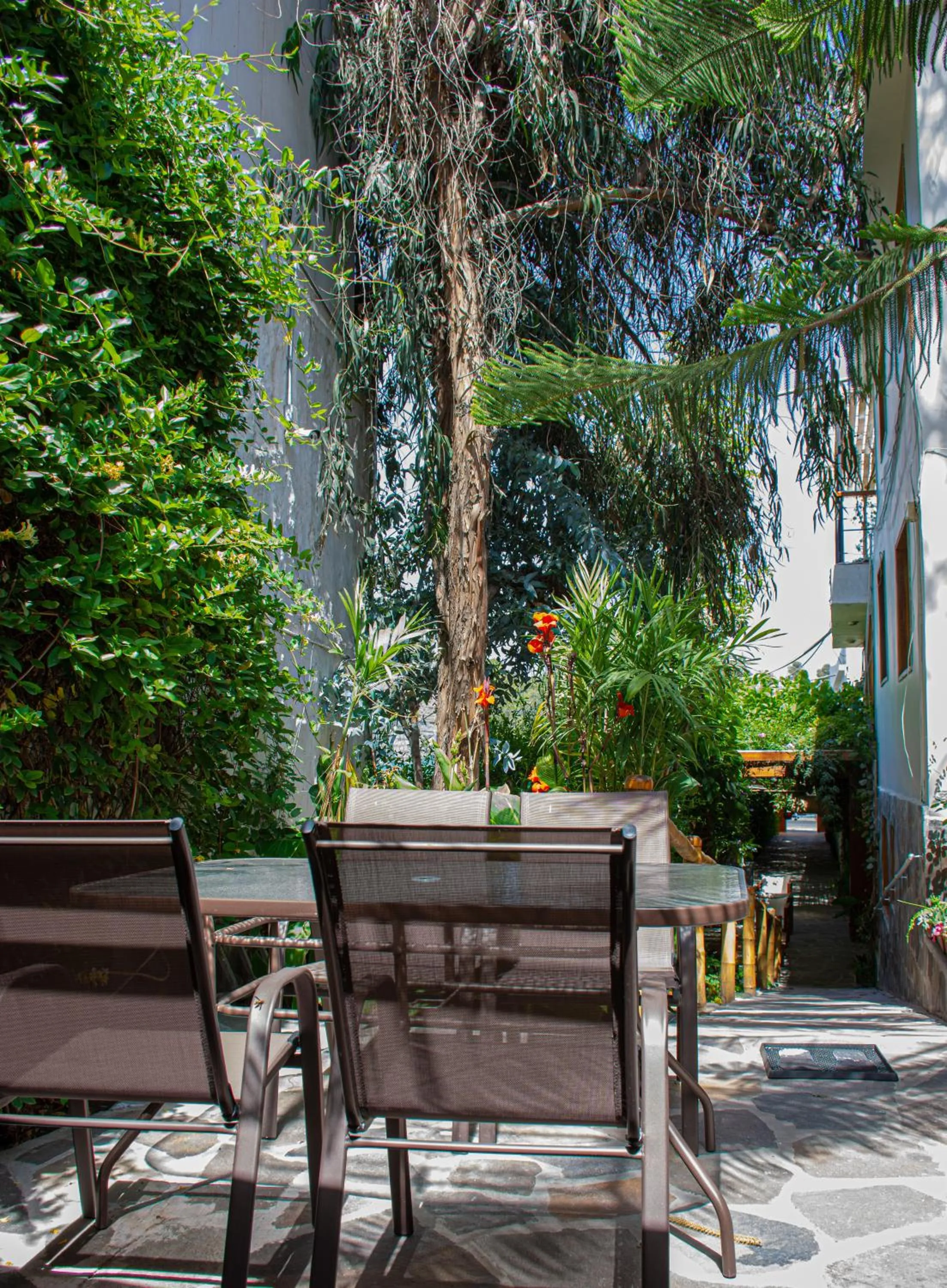 Patio in Refugio Ecológico Arequipa