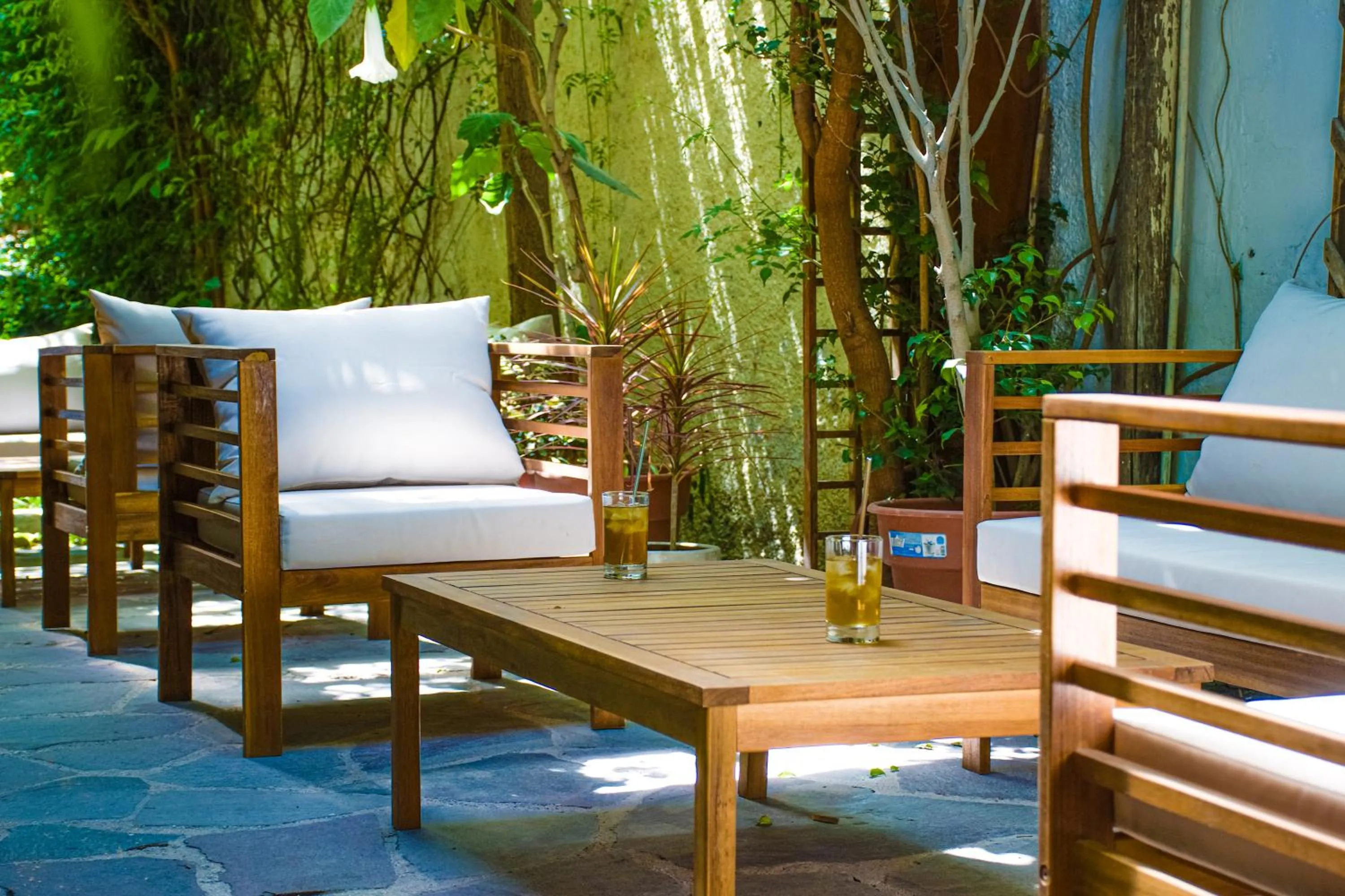 Garden view in Refugio Ecológico Arequipa