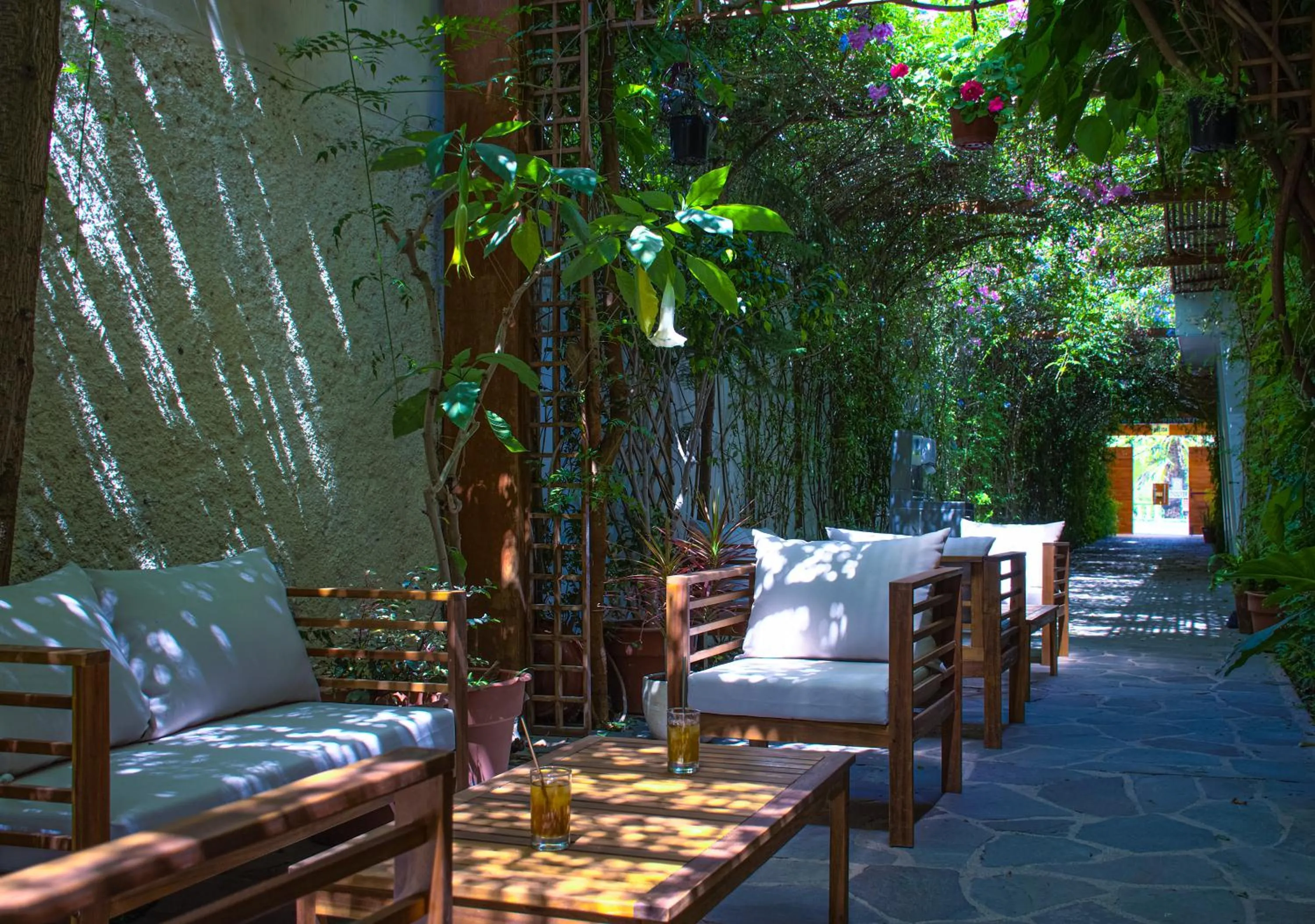 Garden view in Refugio Ecológico Arequipa