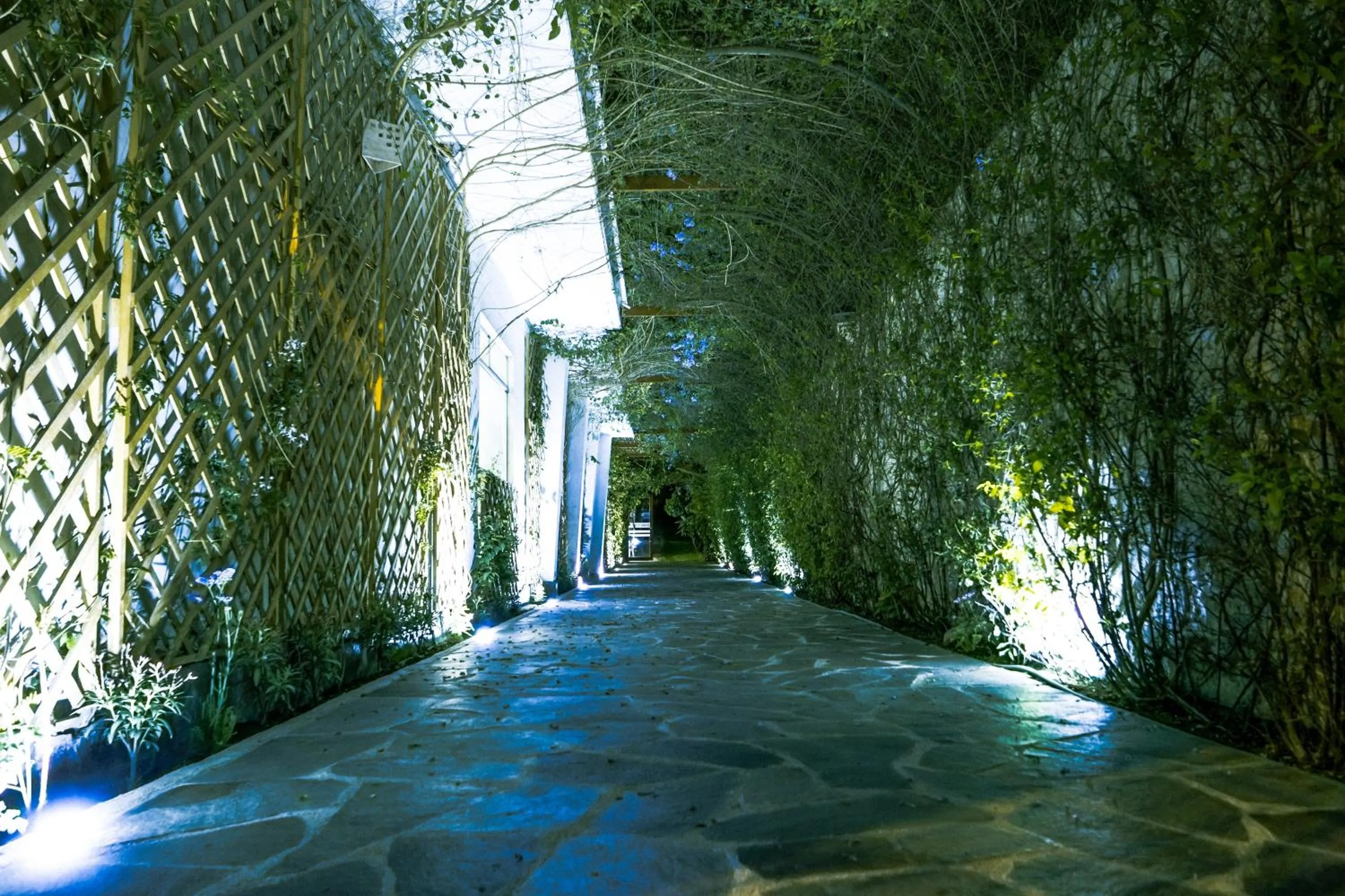 Decorative detail in Refugio Ecológico Arequipa