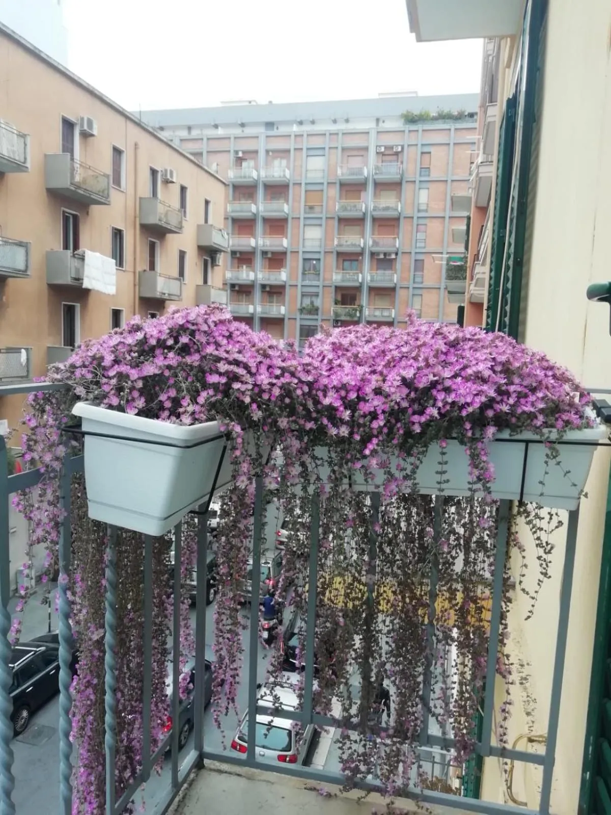 Balcony/Terrace in Casa Di Mamma