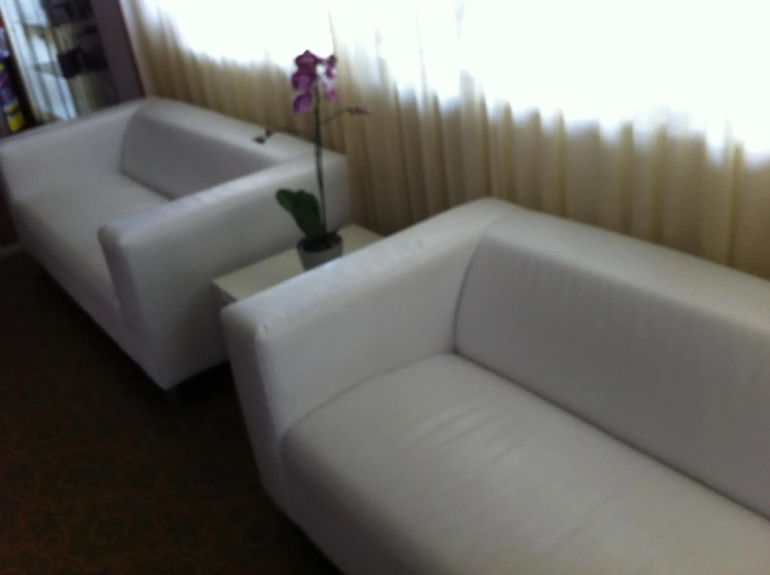 Lobby or reception, Seating Area in Hotel Viking