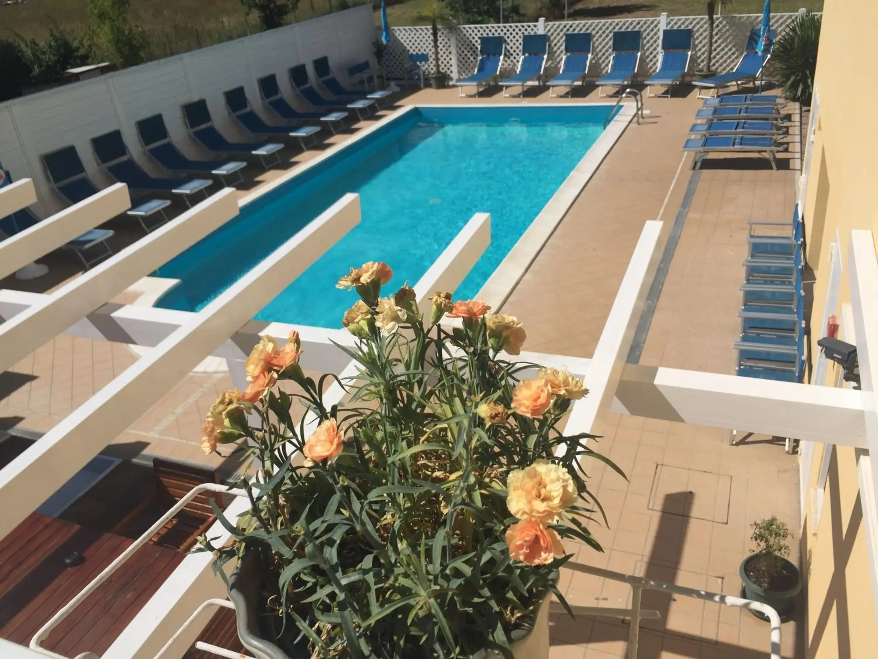 Swimming pool, Pool View in Hotel Viking