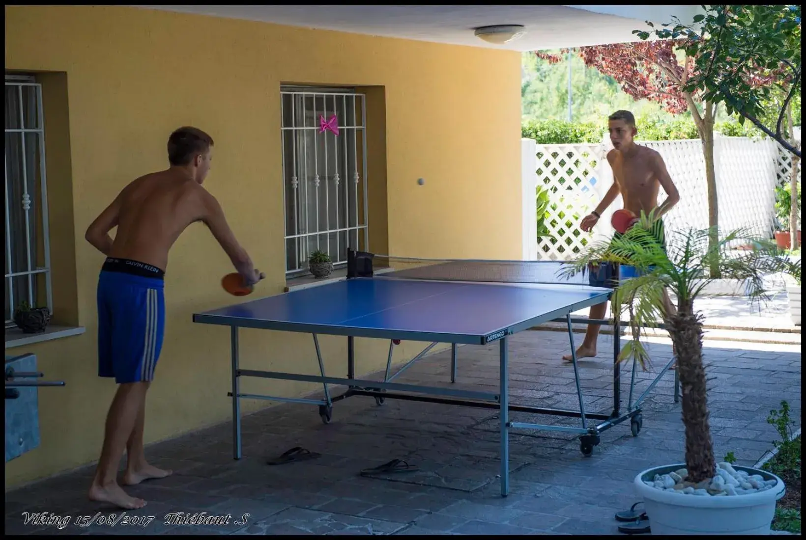 Garden, Table Tennis in Hotel Viking