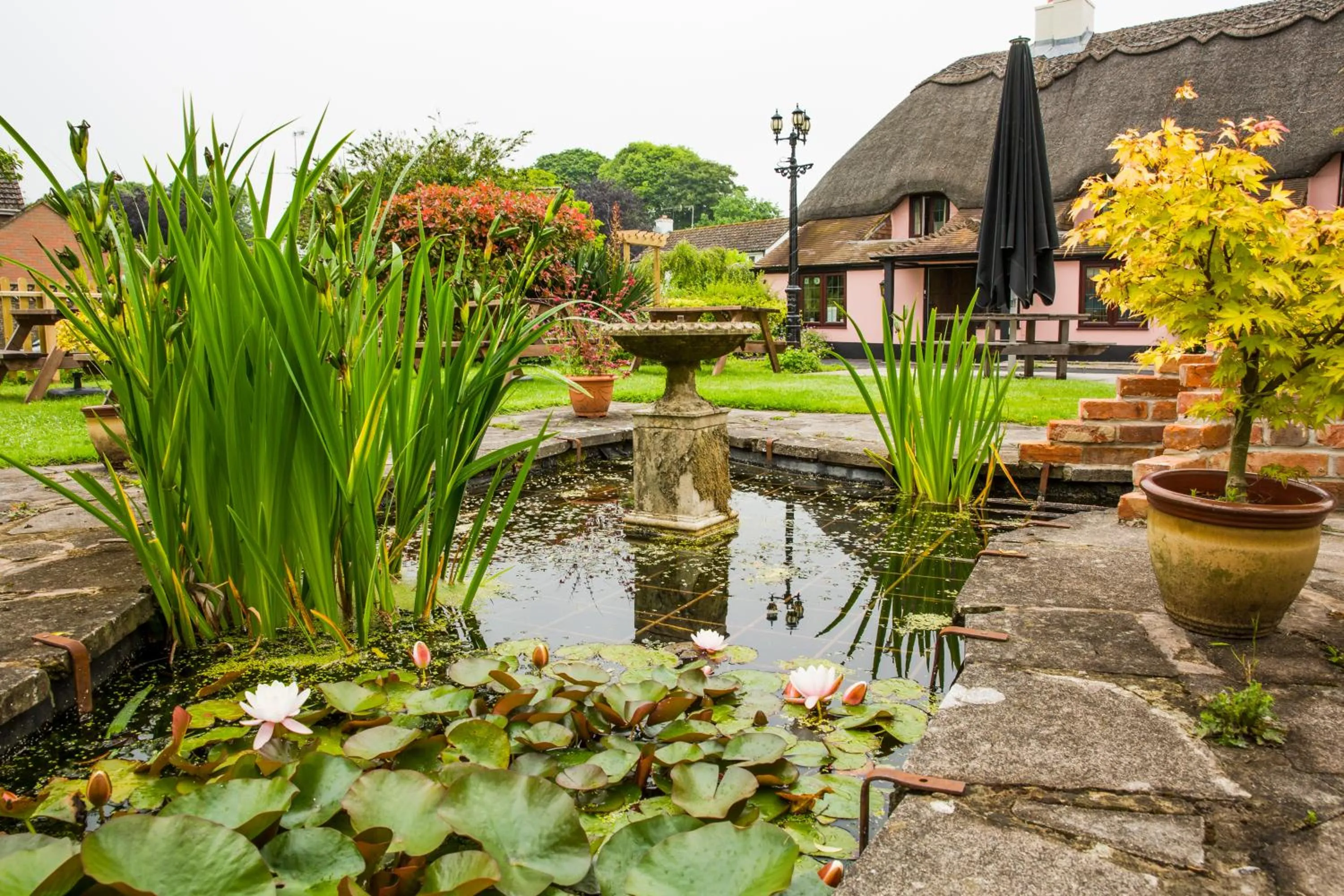 Other in The Anvil Inn