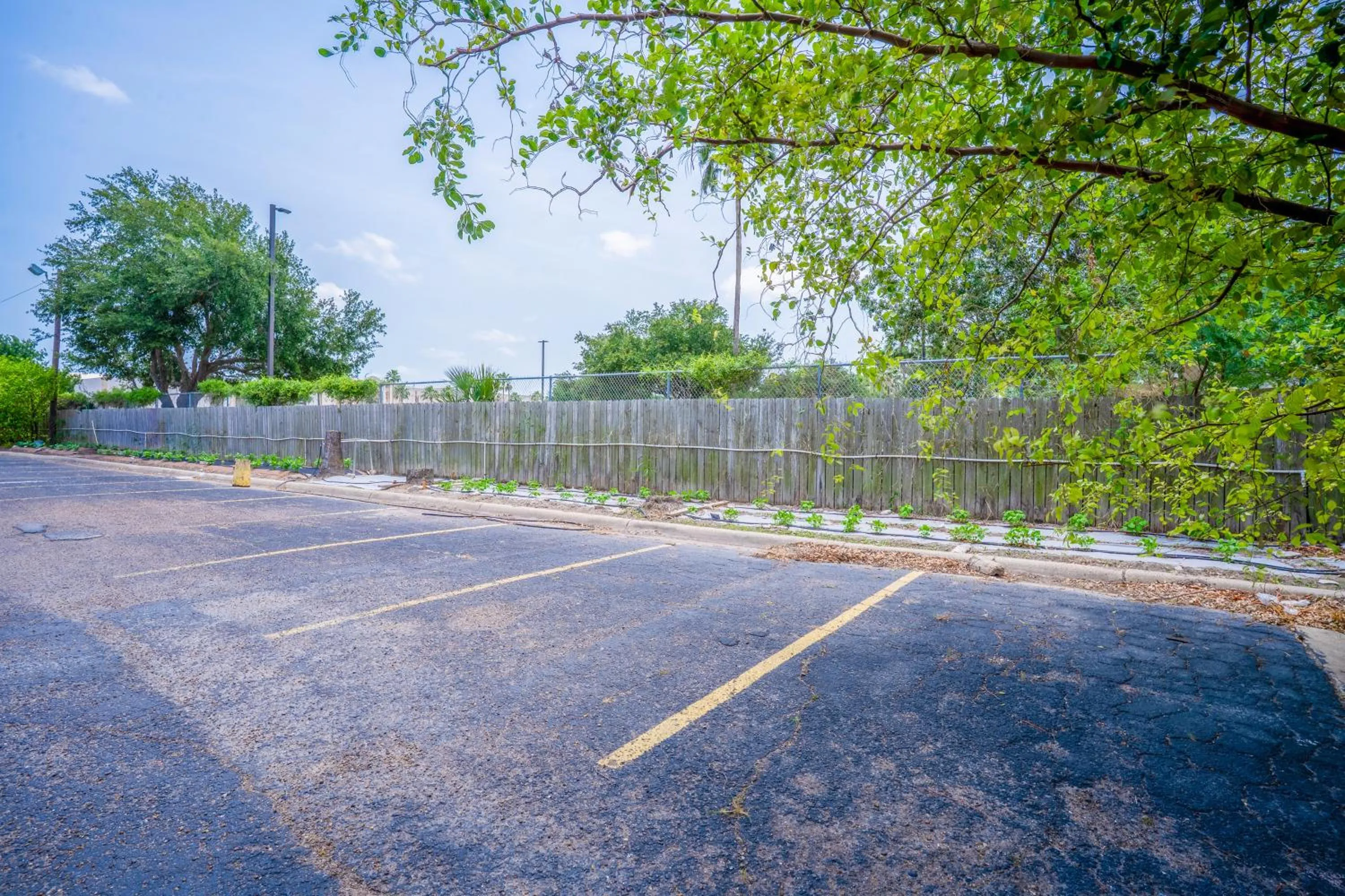 Facade/entrance in Lone Star Inn & Suites by OYO Harlingen TX