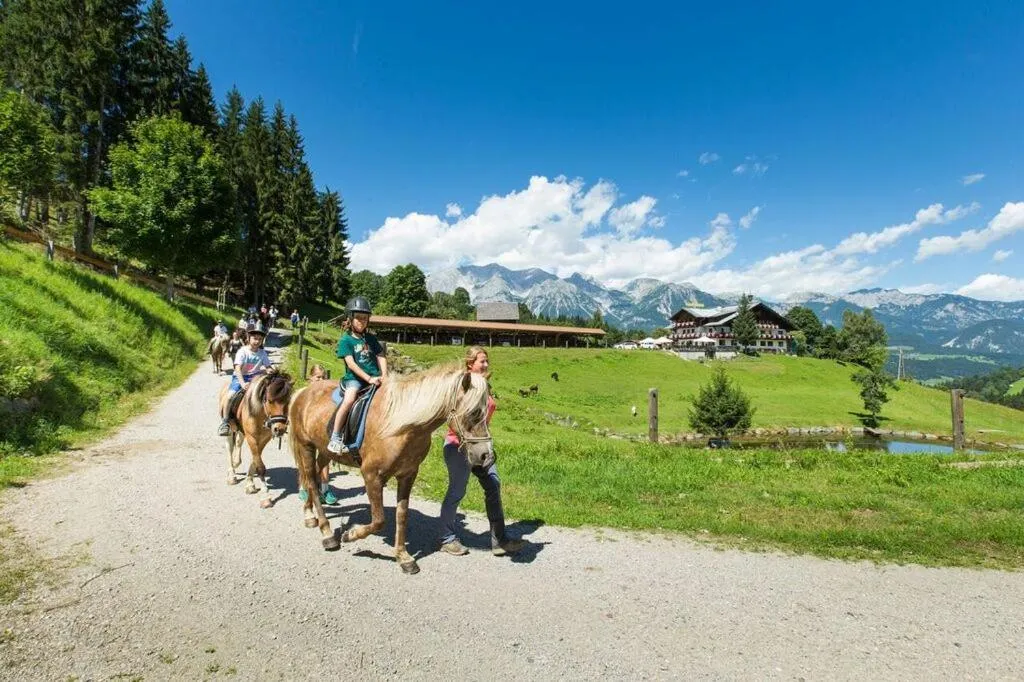 Activities in Panoramahotel Stocker