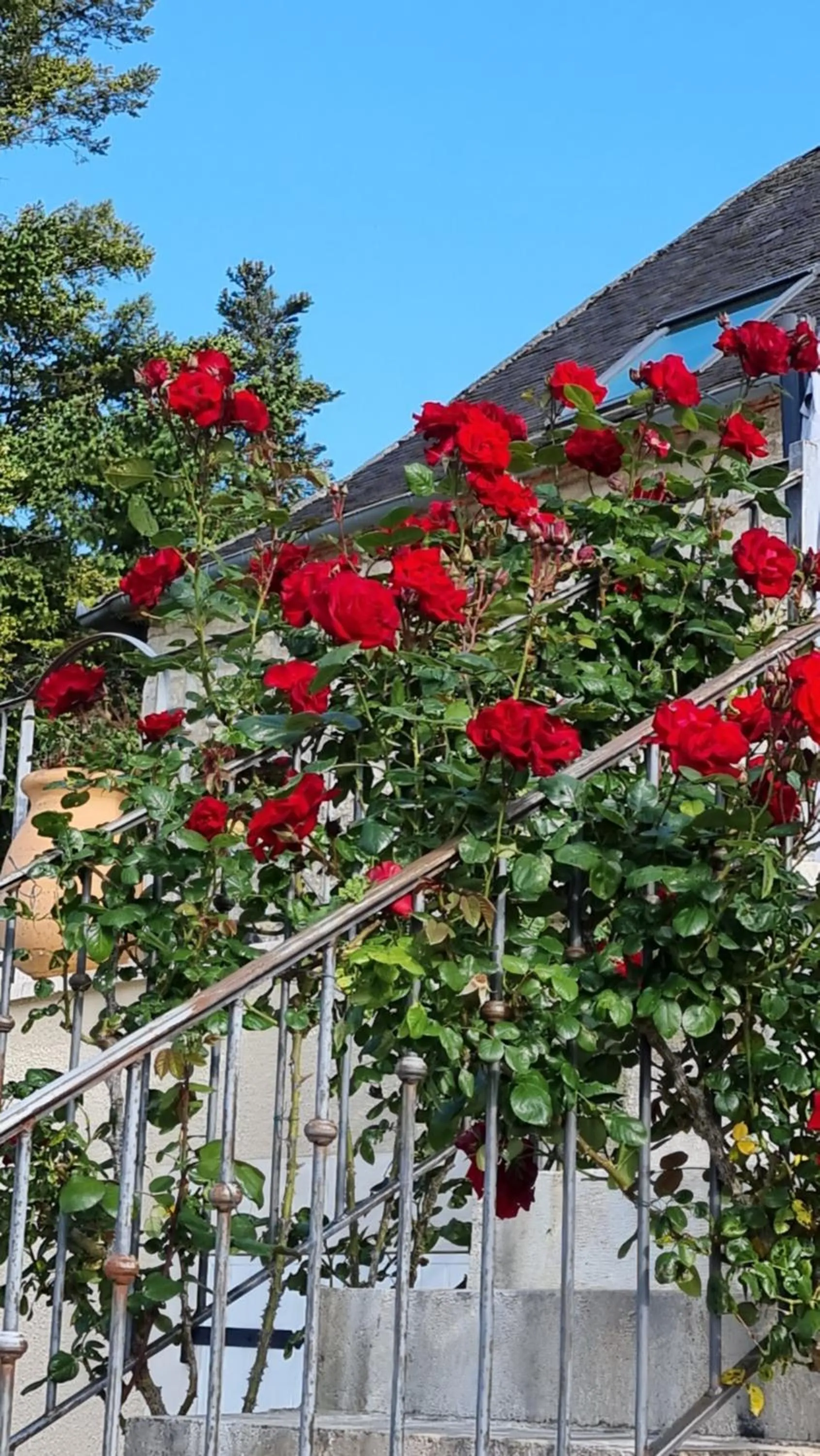 Garden view in Domaine La Garenne