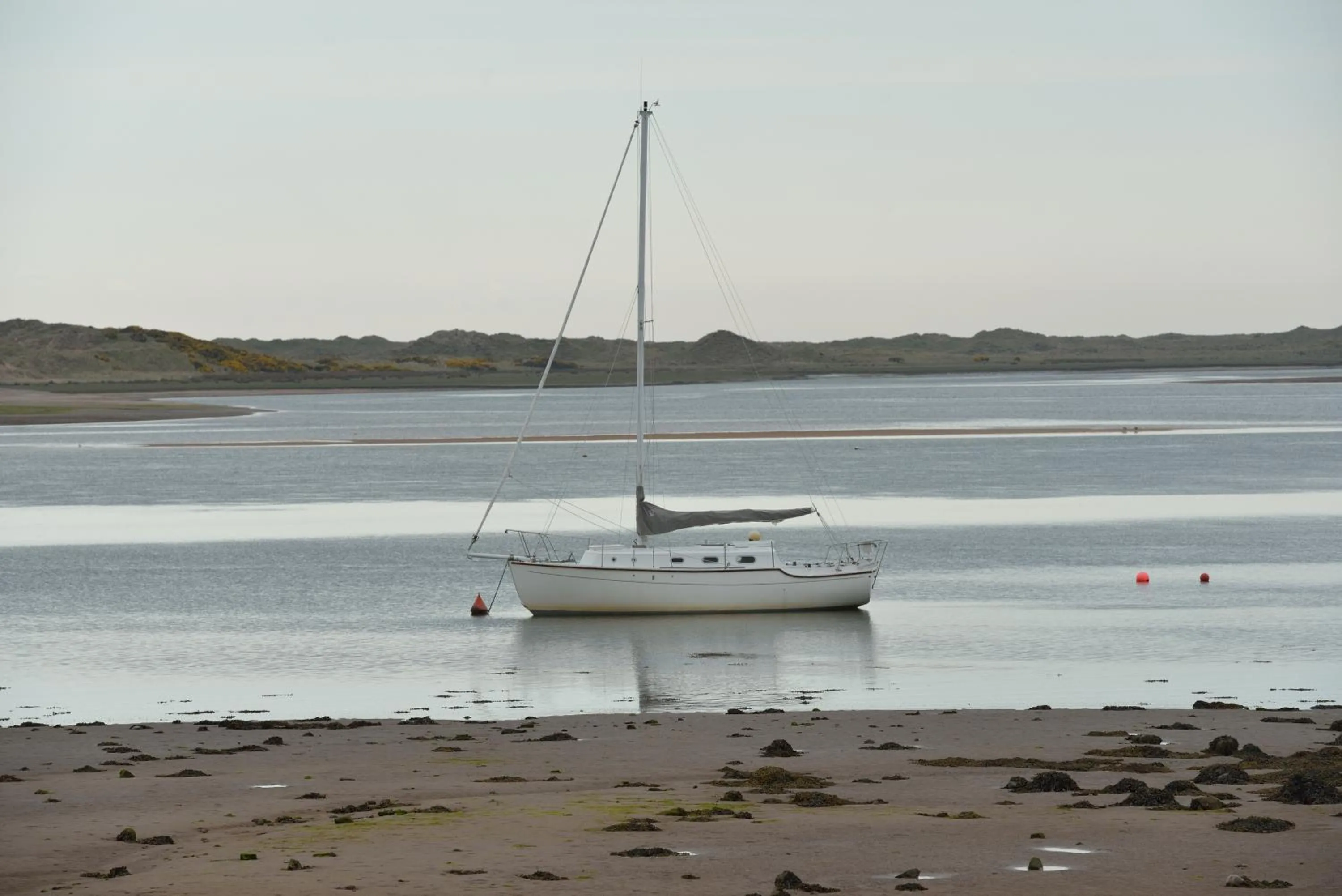 Beach in The Pennington Hotel