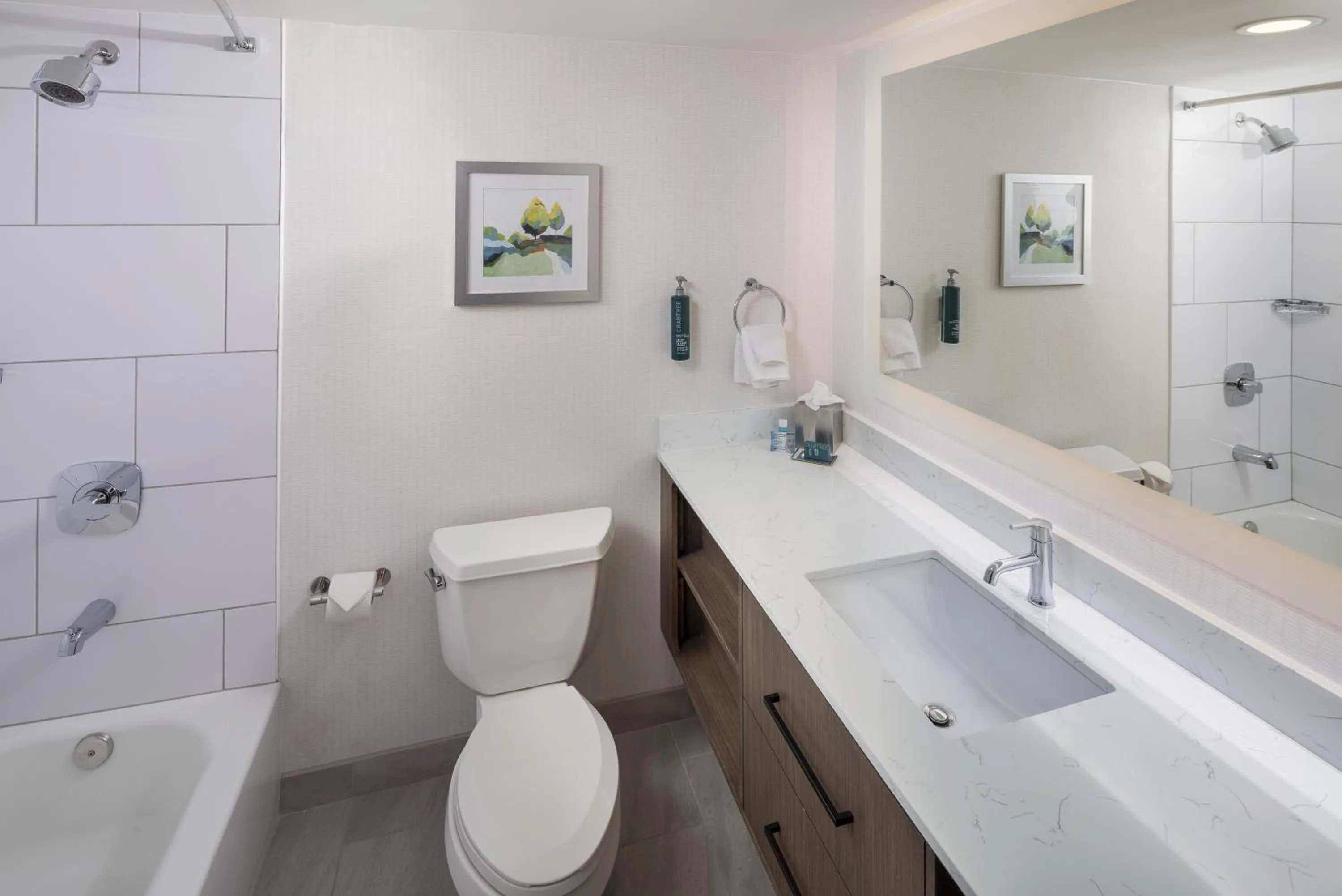 Bathroom in DoubleTree by Hilton Murfreesboro