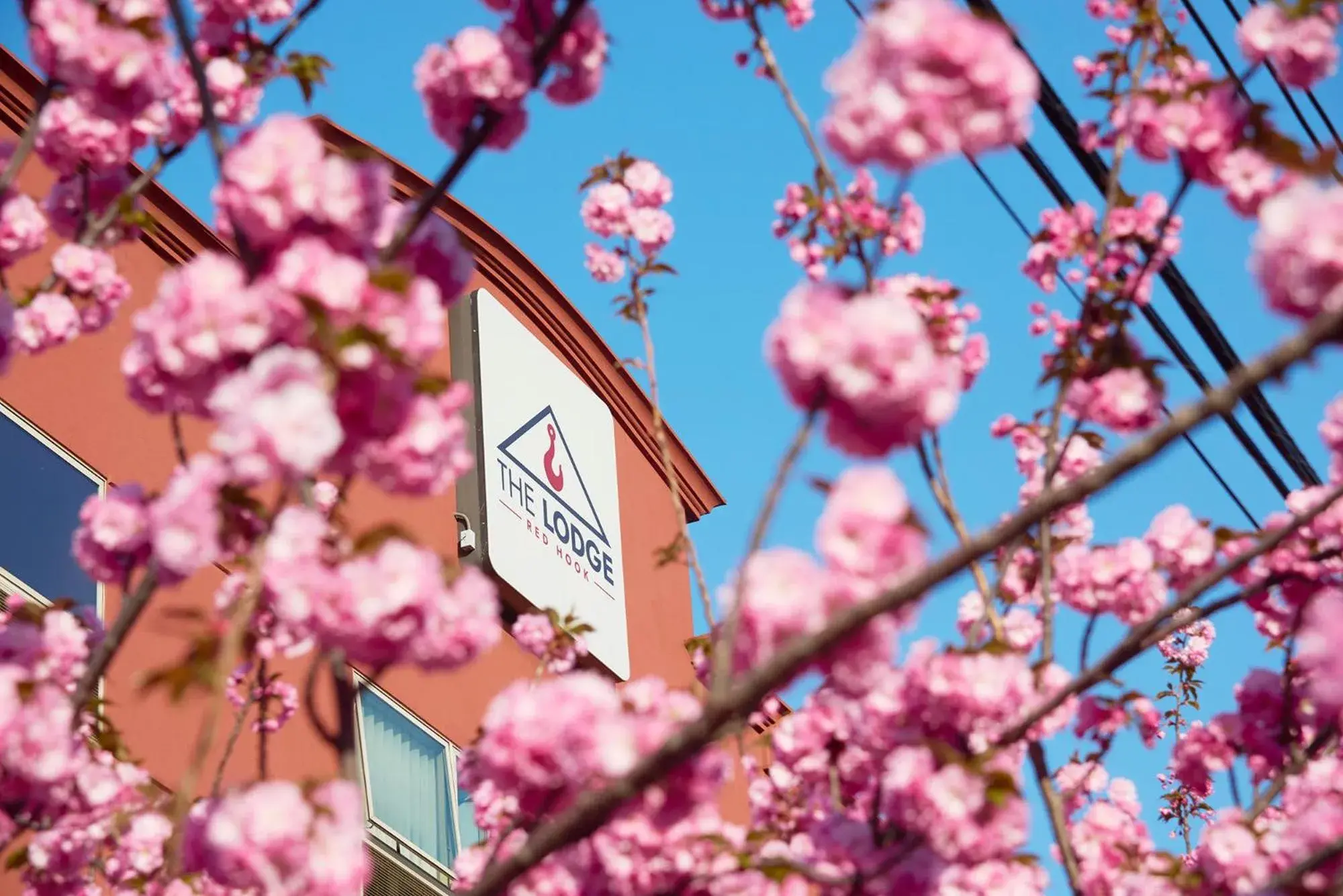 Property building in The Lodge Red Hook Property building in The Lodge Red Hook