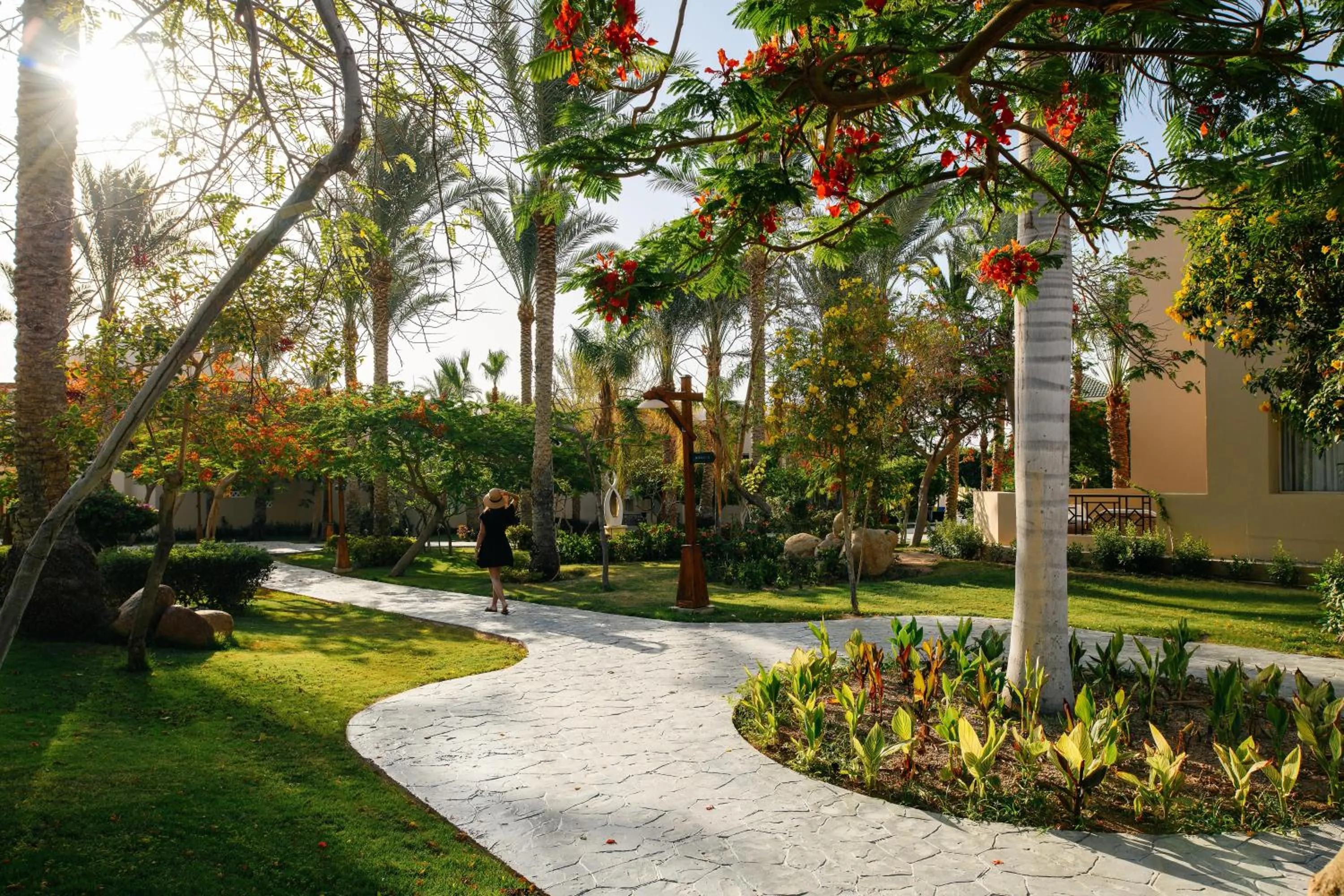 Garden in TUI MAGIC LIFE Redsina Sharm El Sheikh