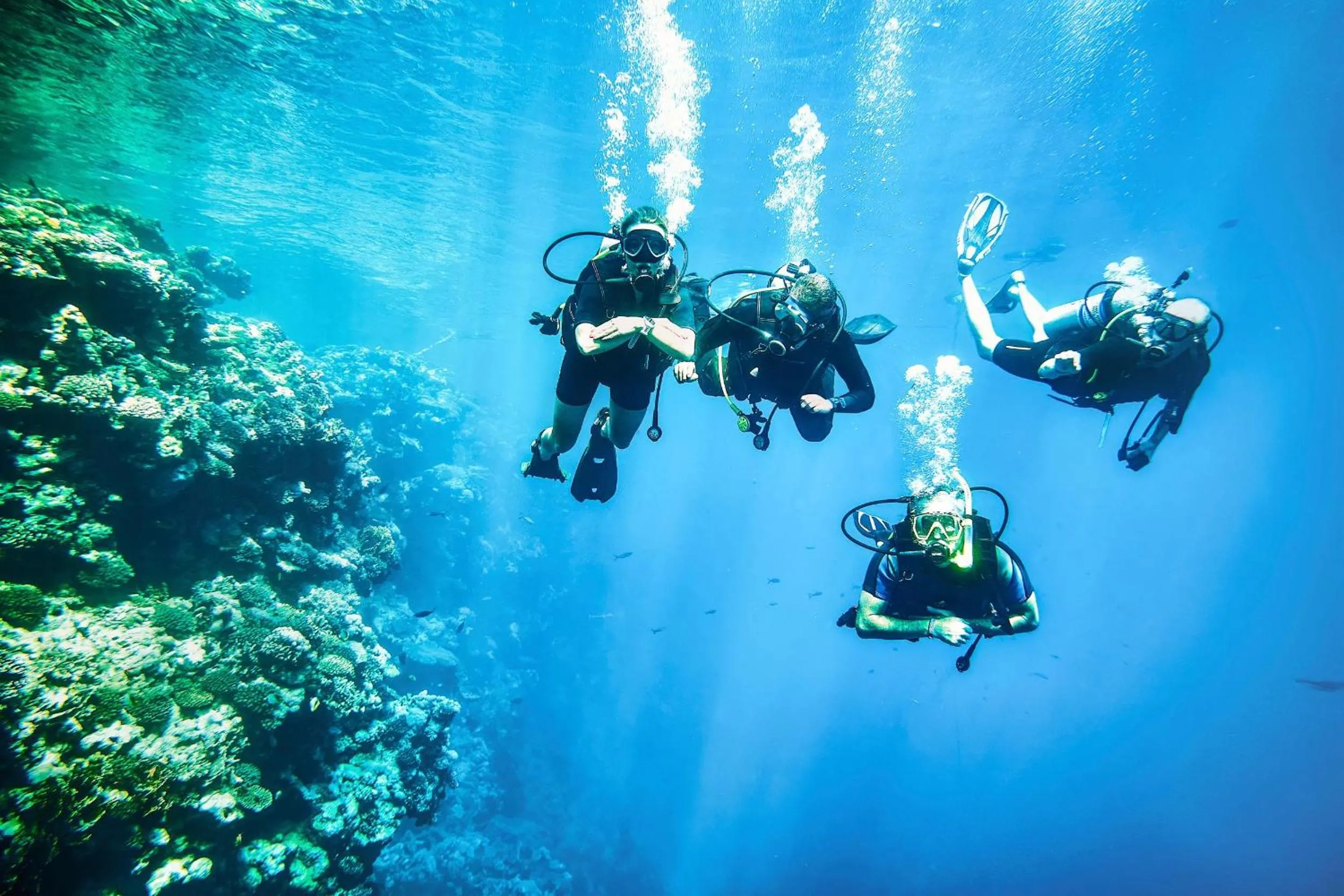 Activities in TUI MAGIC LIFE Redsina Sharm El Sheikh