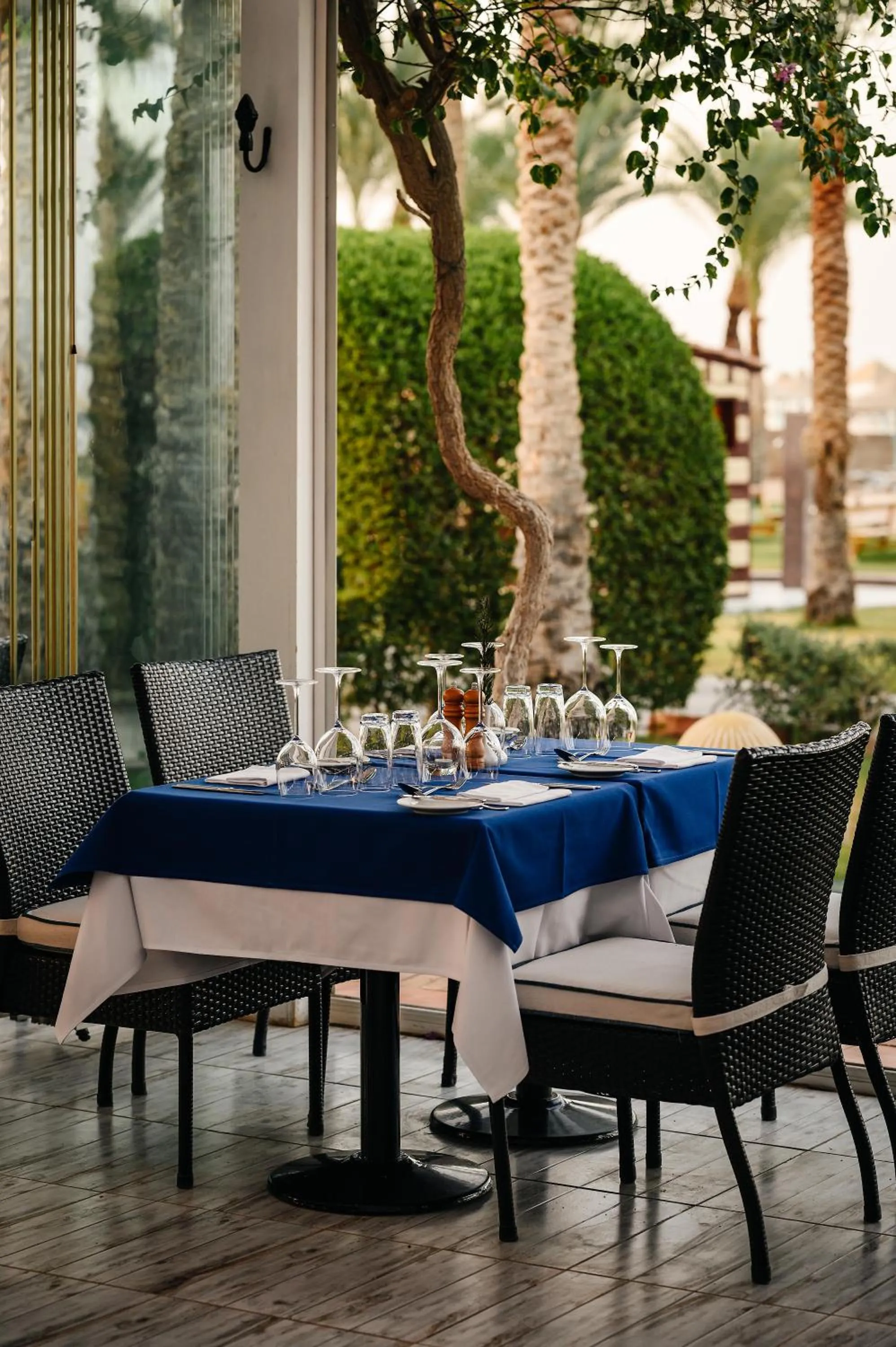 Restaurant/places to eat in TUI MAGIC LIFE Redsina Sharm El Sheikh