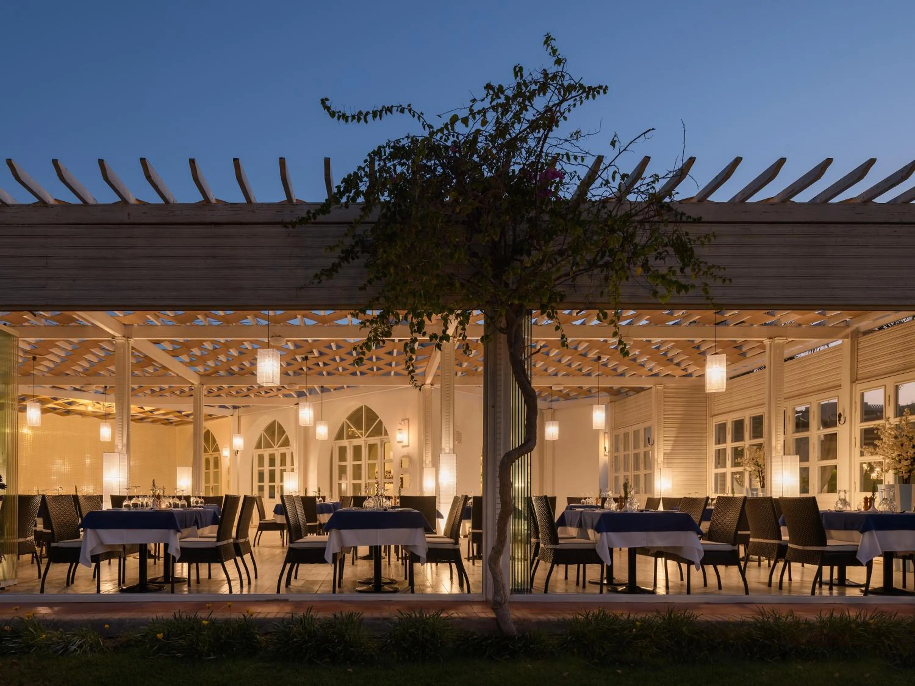 Restaurant/places to eat in Magic World Sharm - Club by Jaz