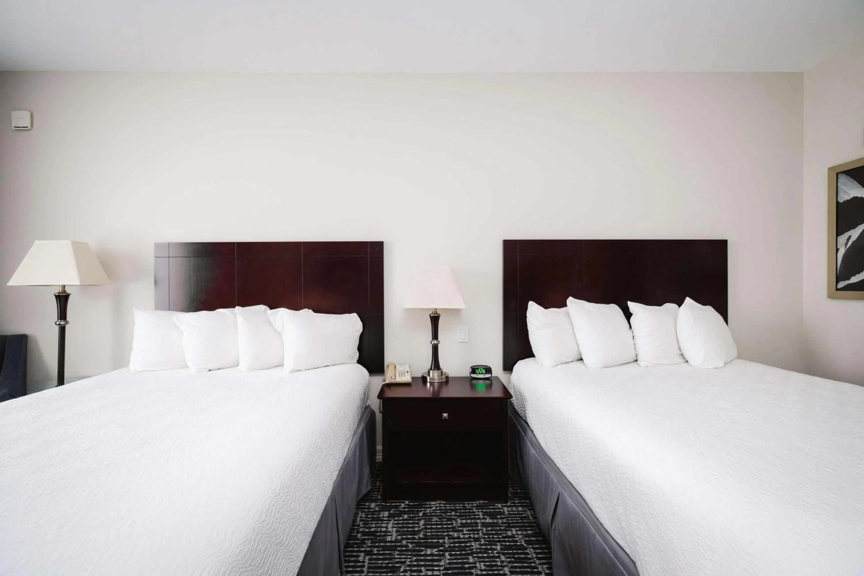 Bedroom, Bed in Best Western Sugarland Inn