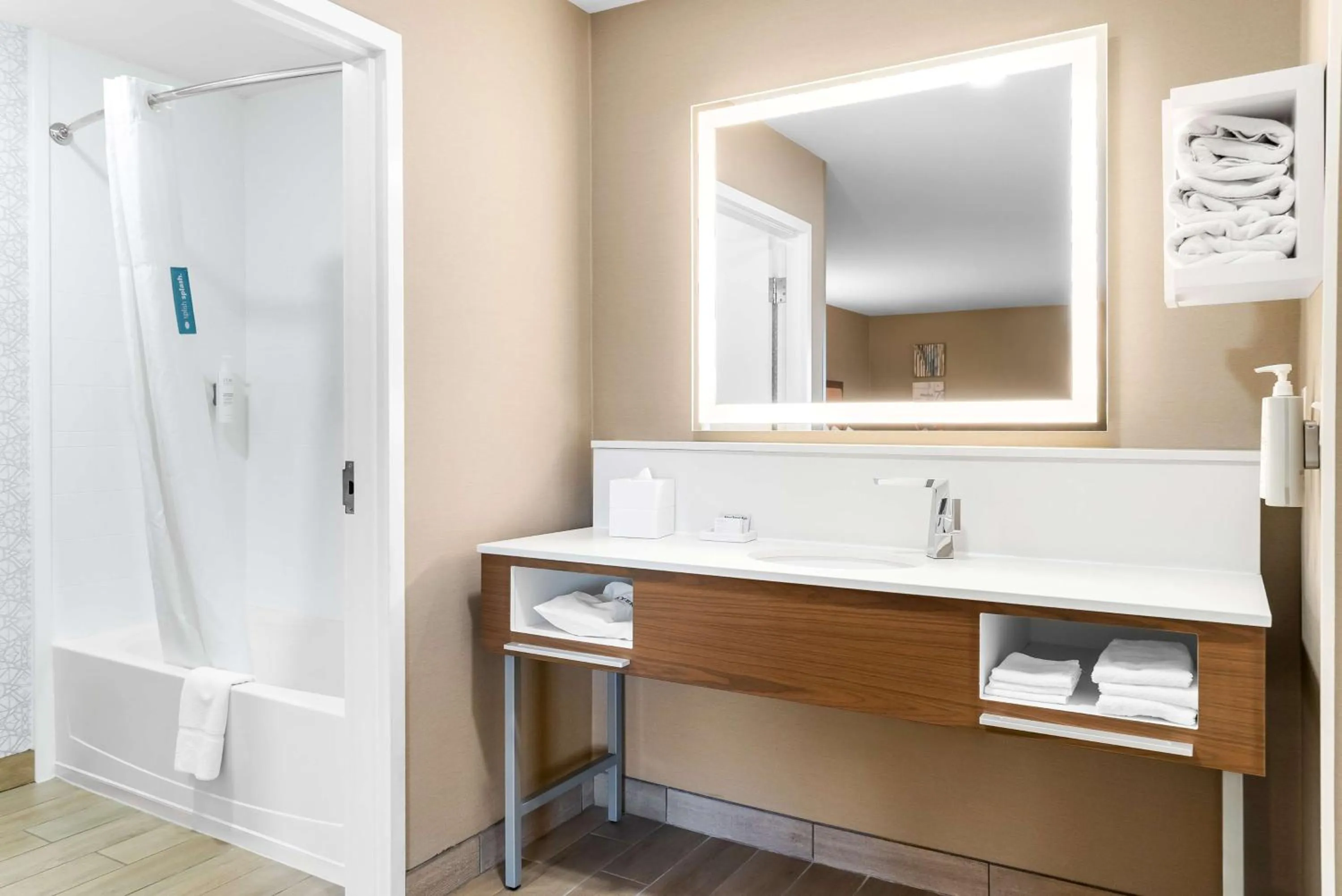 Bathroom in Hampton Inn Detroit/Auburn Hills-North