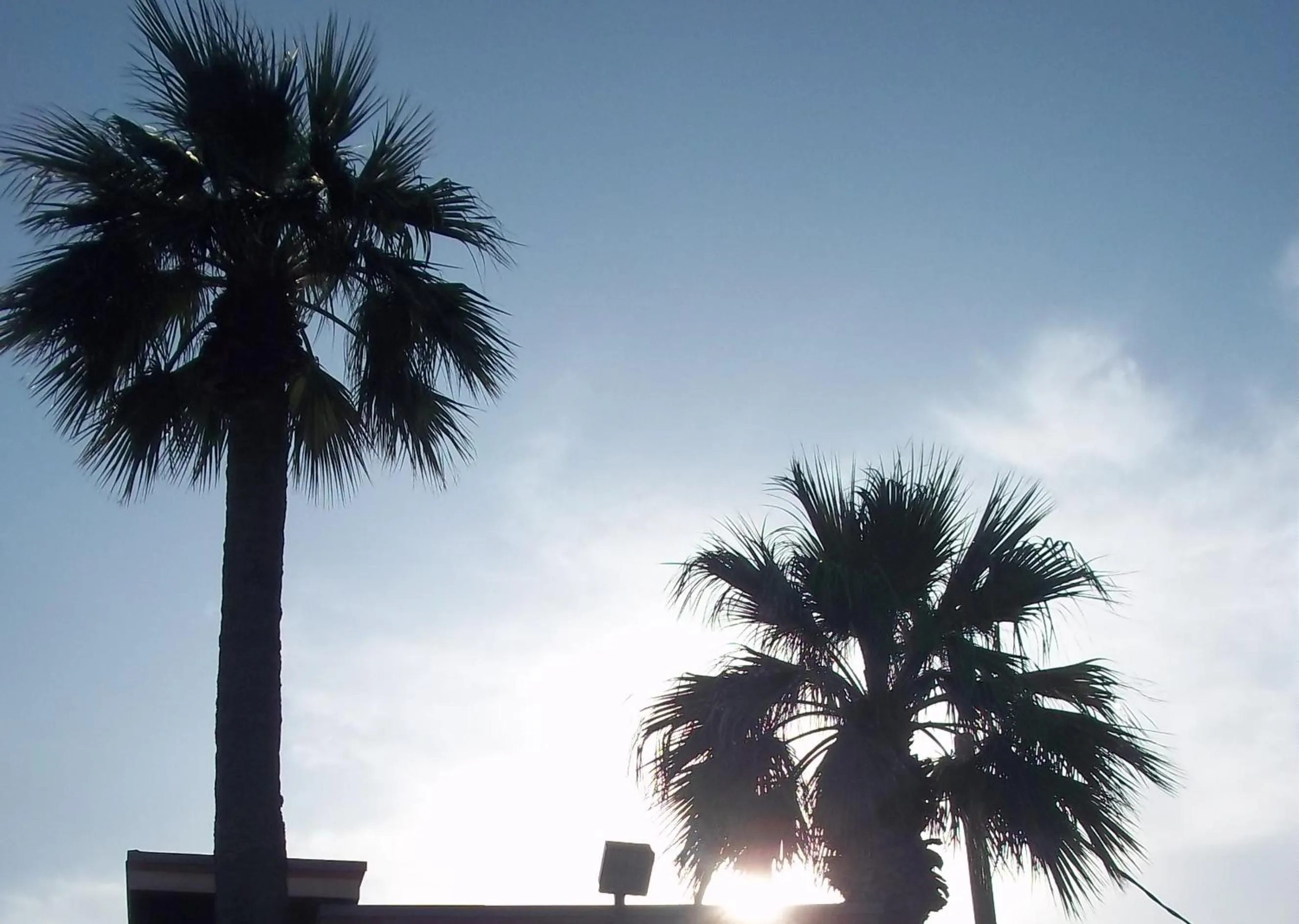 Other in Whispering Palms Inn