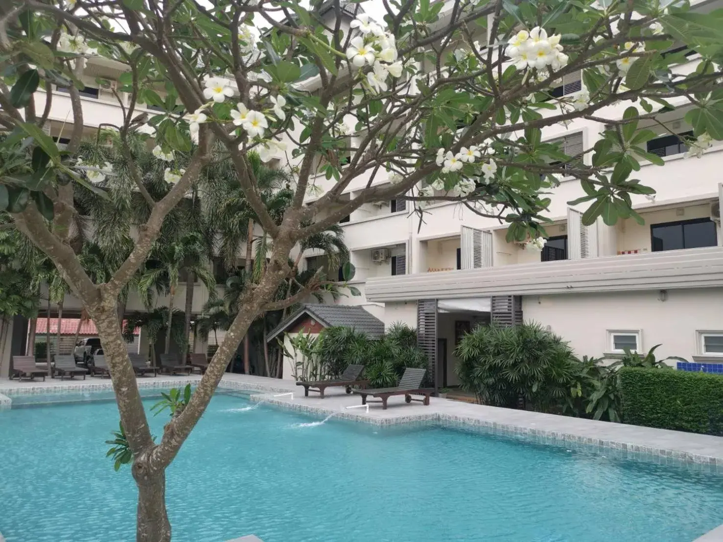 Pool view, Swimming Pool in The Zen Hotel Pattaya