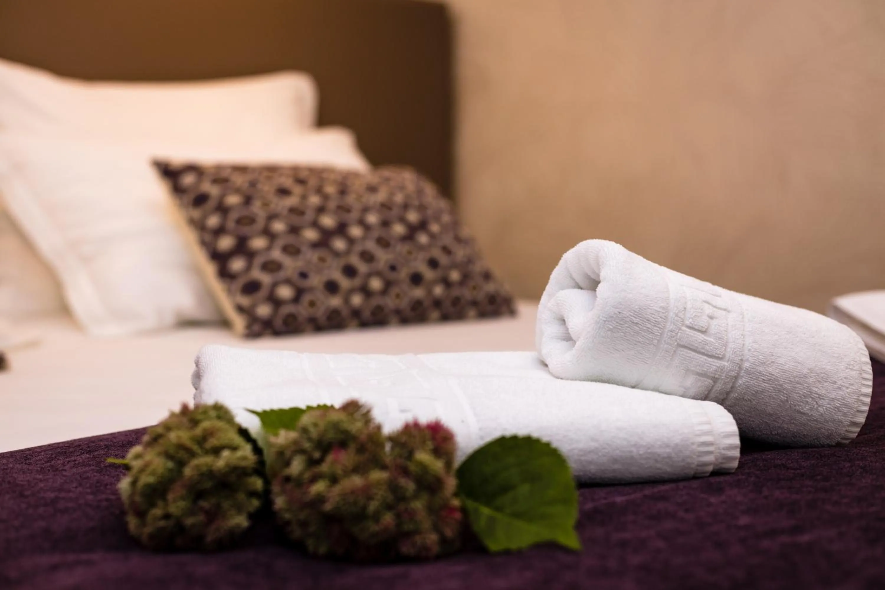 Bed in Luxury Villa Karla