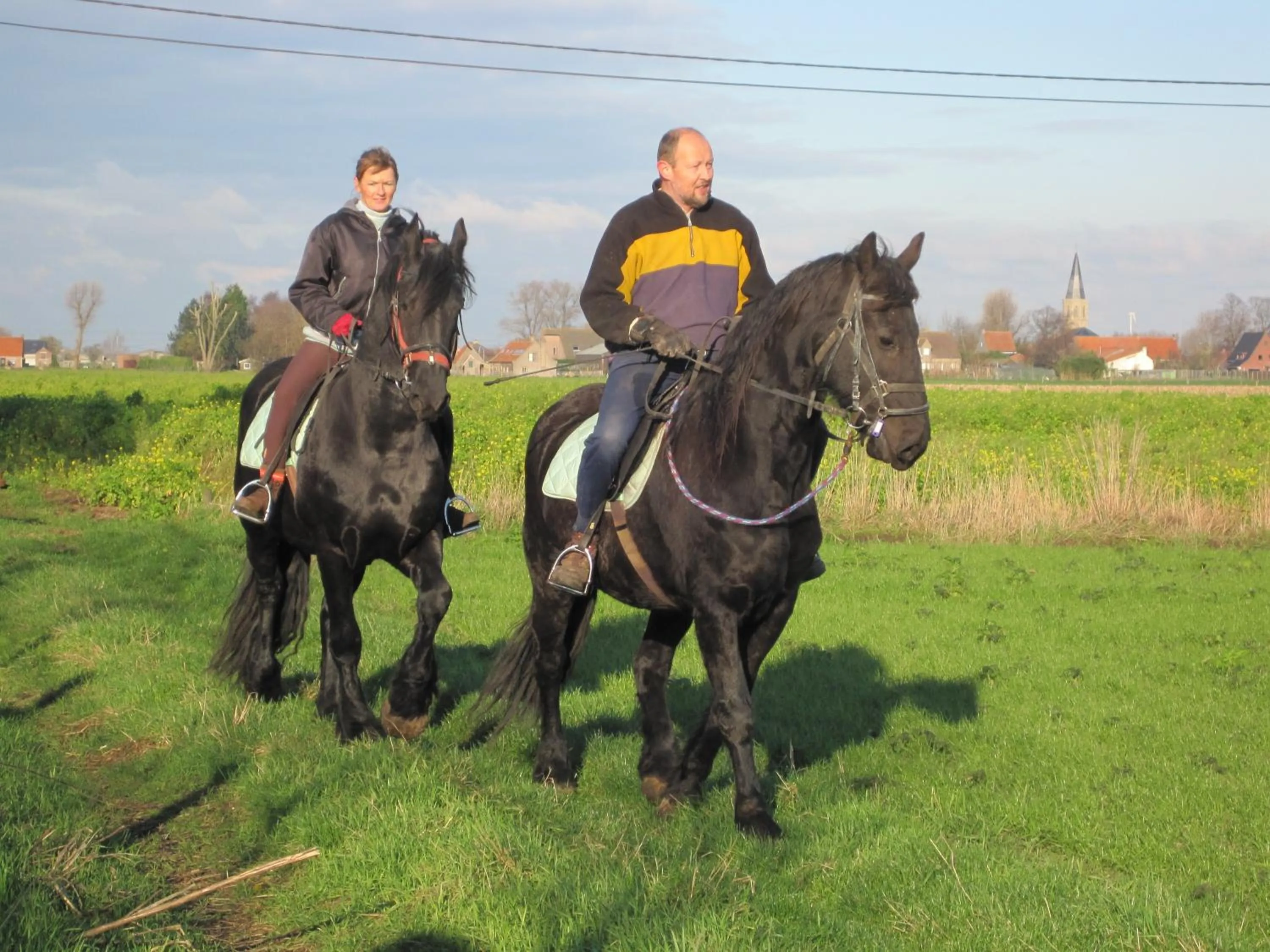 Horse-riding in B&B Ter Castaigne