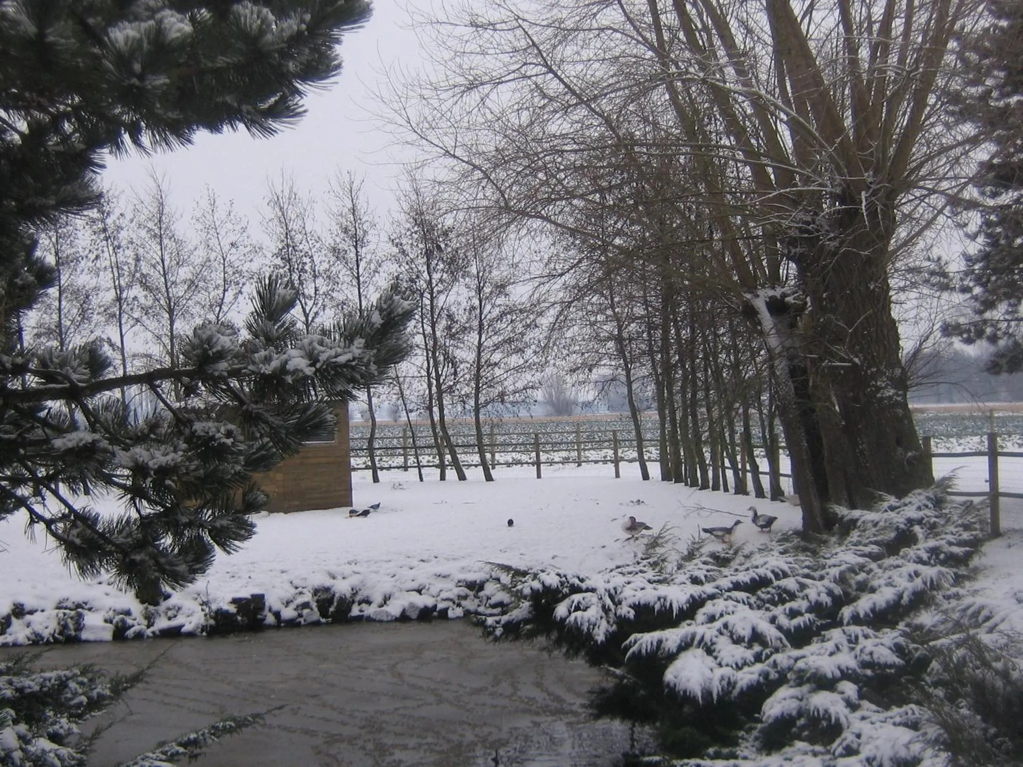 Winter in B&B Ter Castaigne