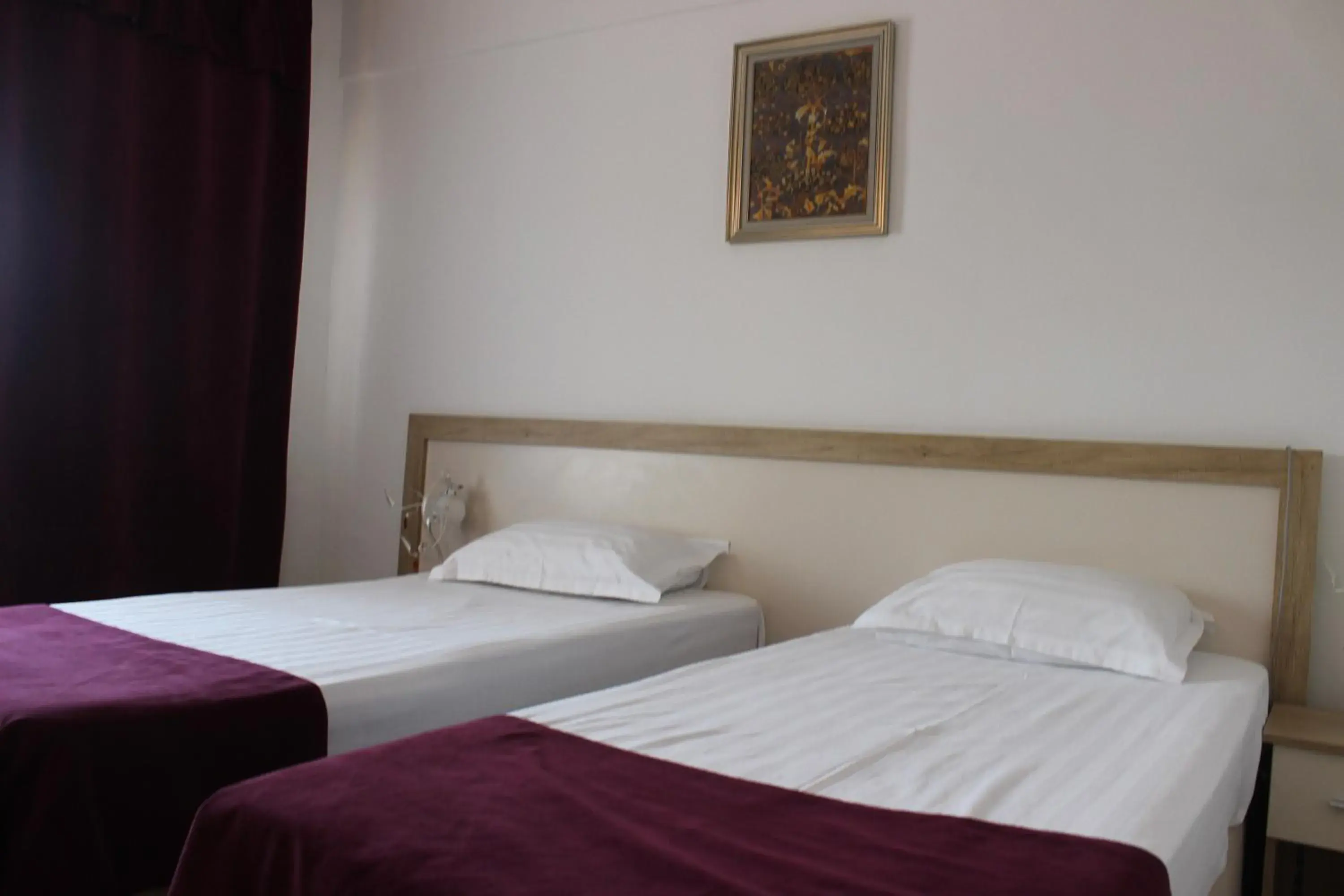 Double or Twin Room with Balcony in Hotel Ciucas Double or Twin Room with Balcony in Hotel Ciucas
