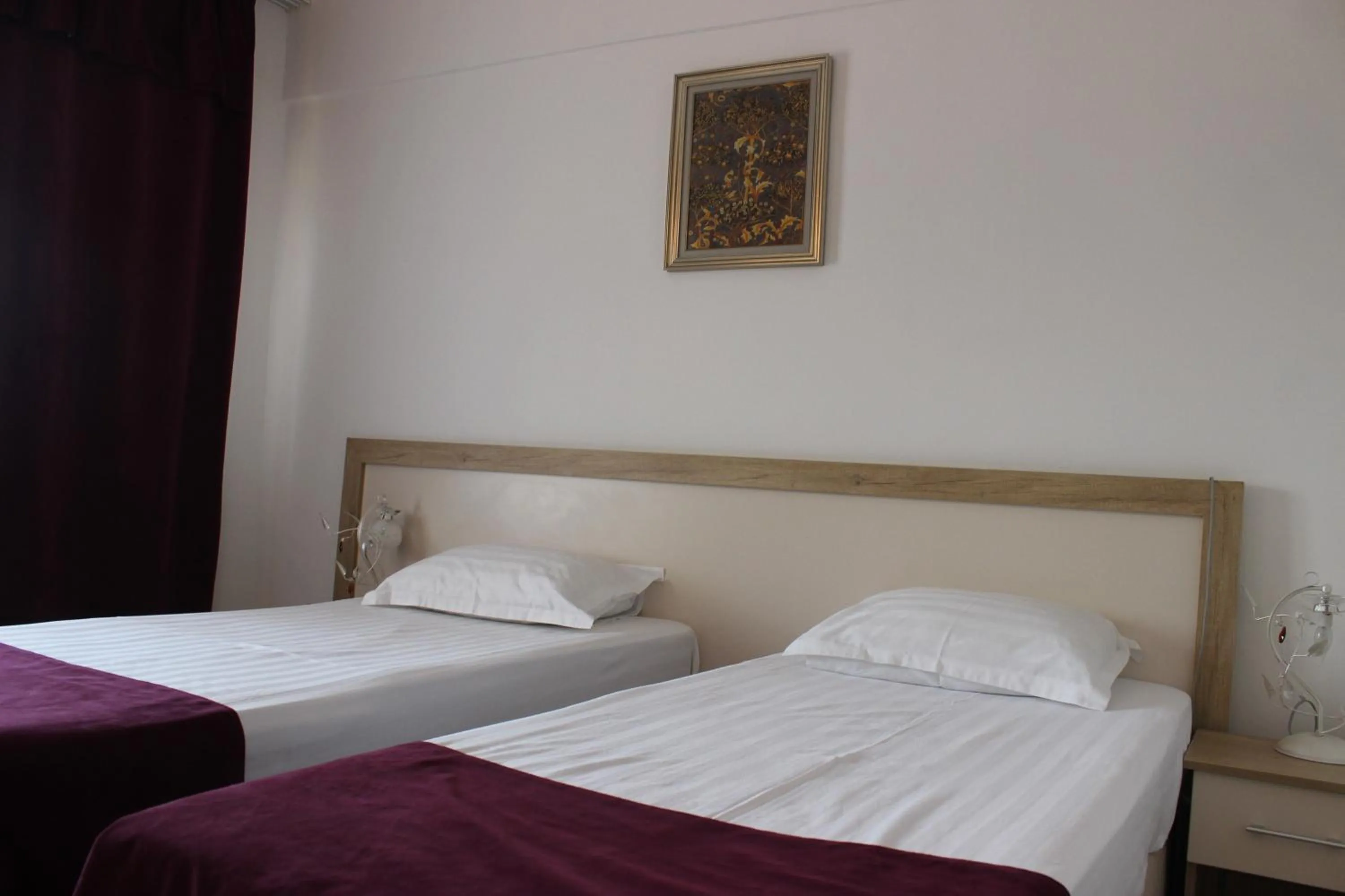 Hotel Ciucas