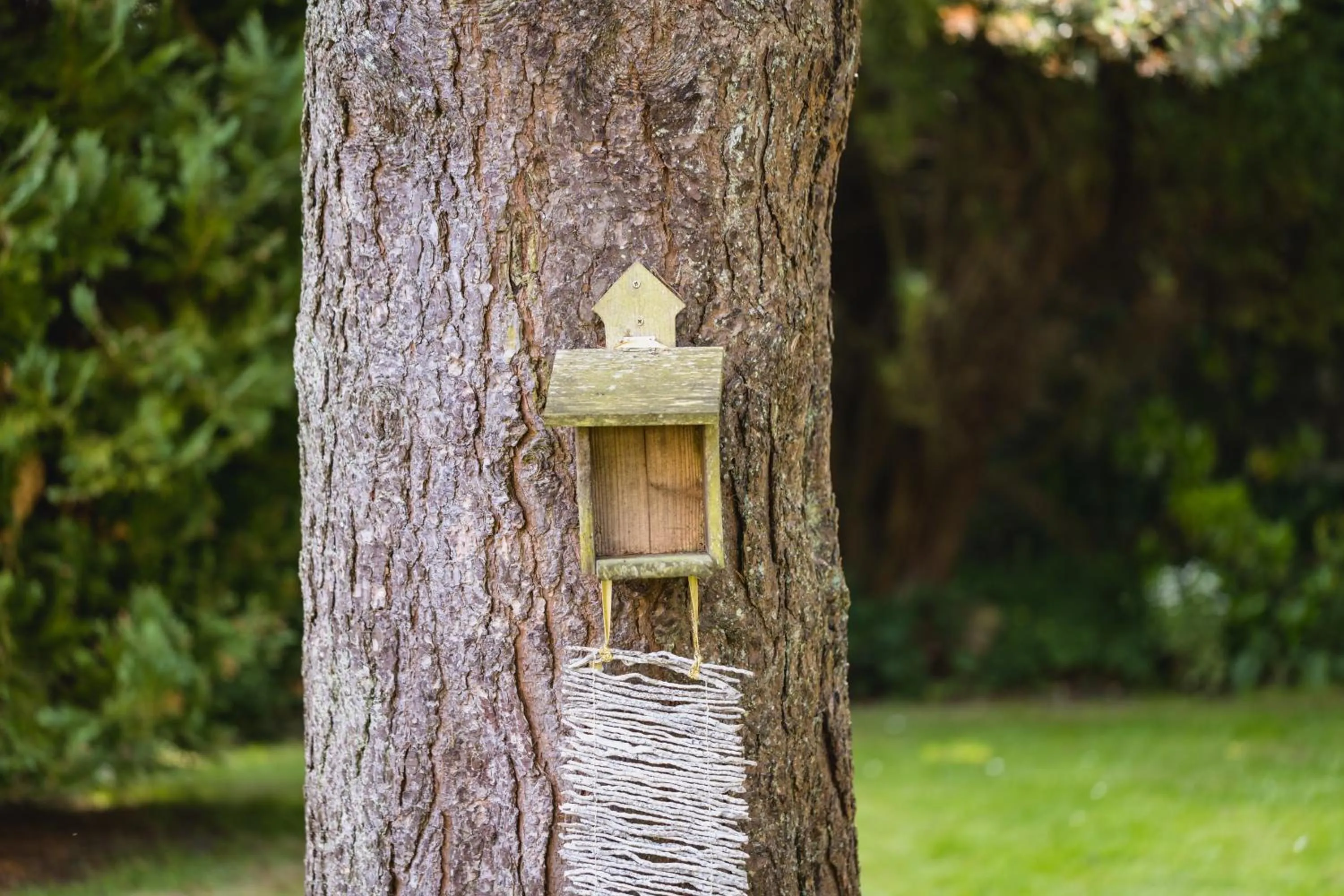 Garden in Alston House Hotel