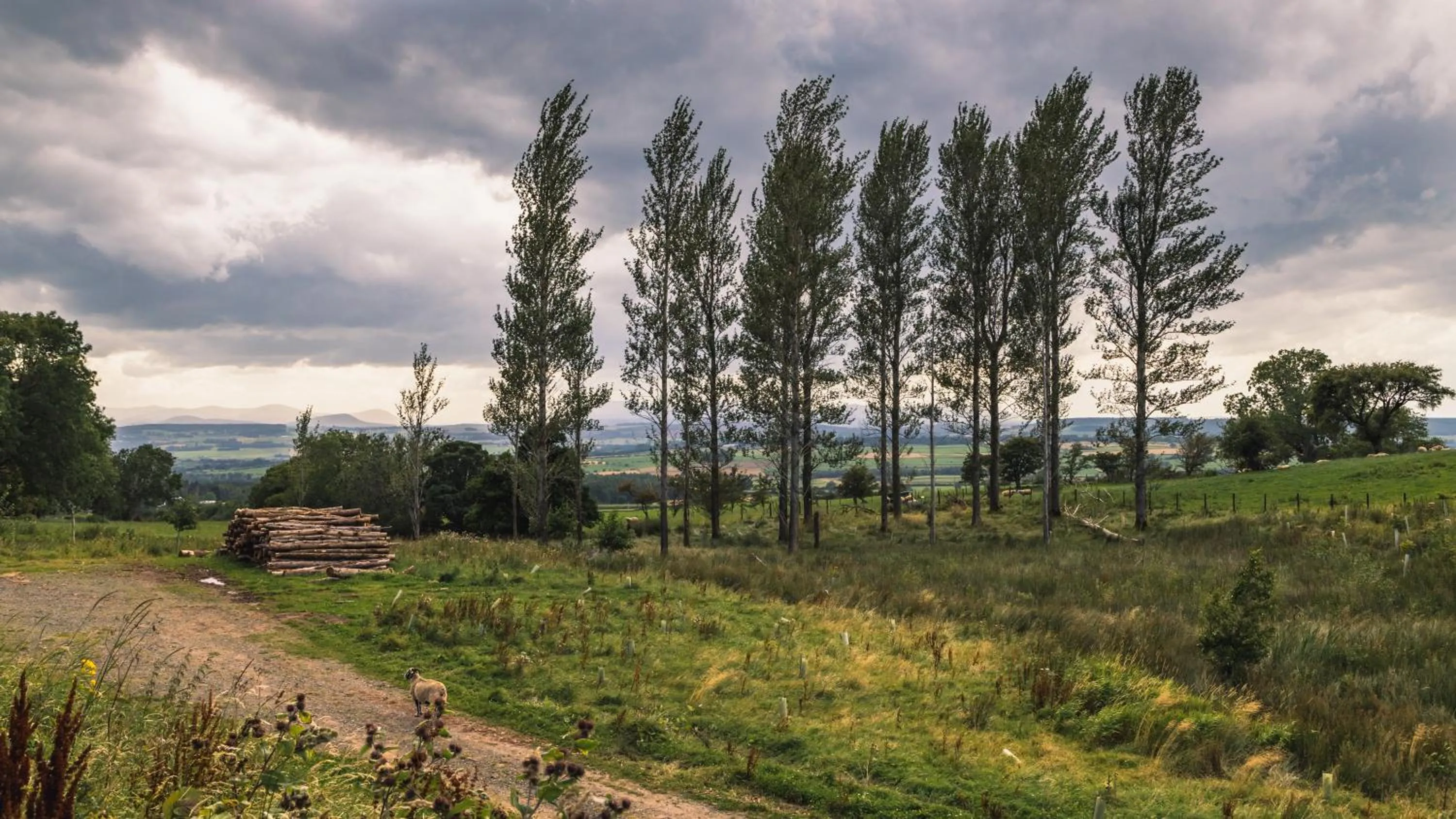 Location in Alston House Hotel