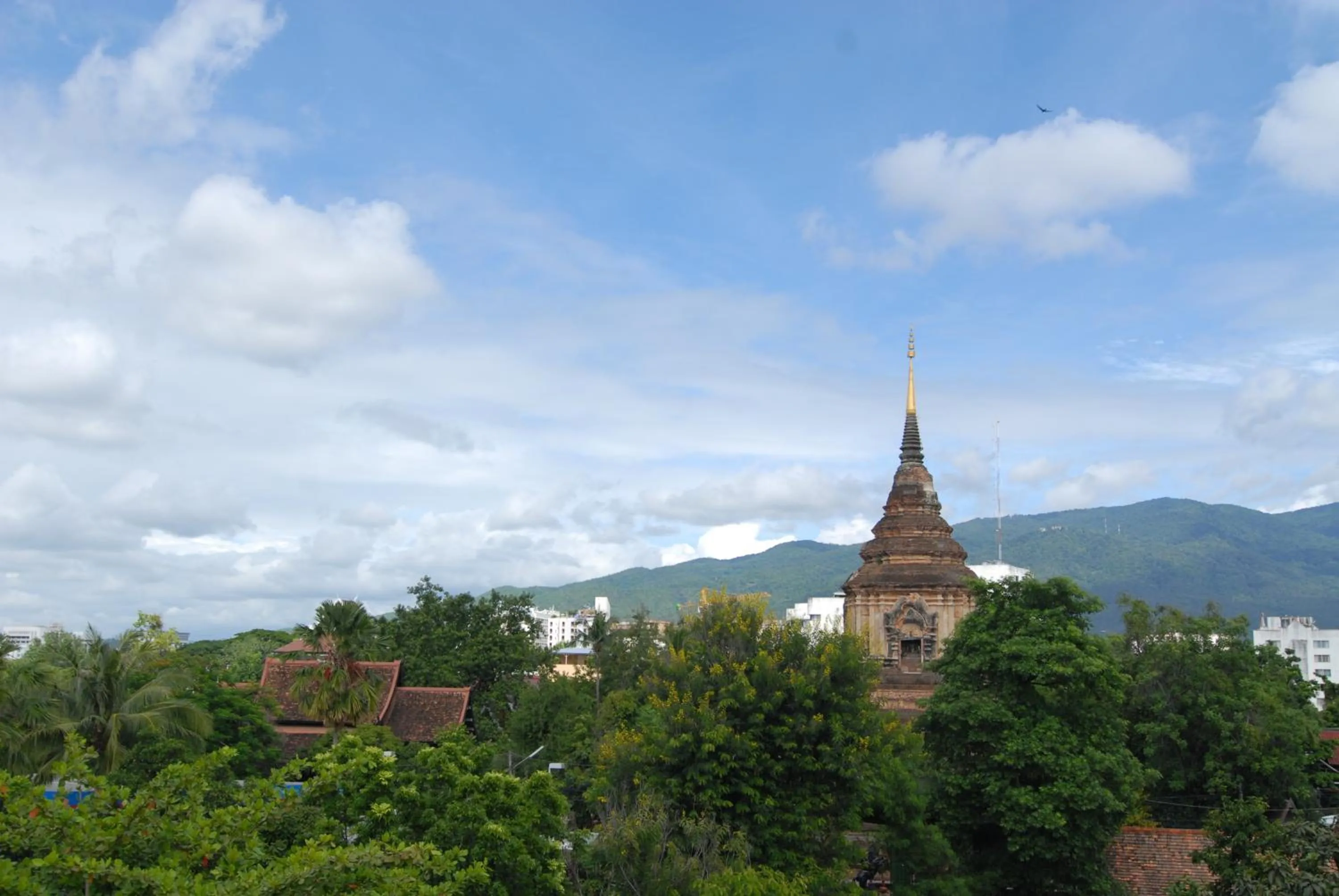Nearby landmark in Jane's House