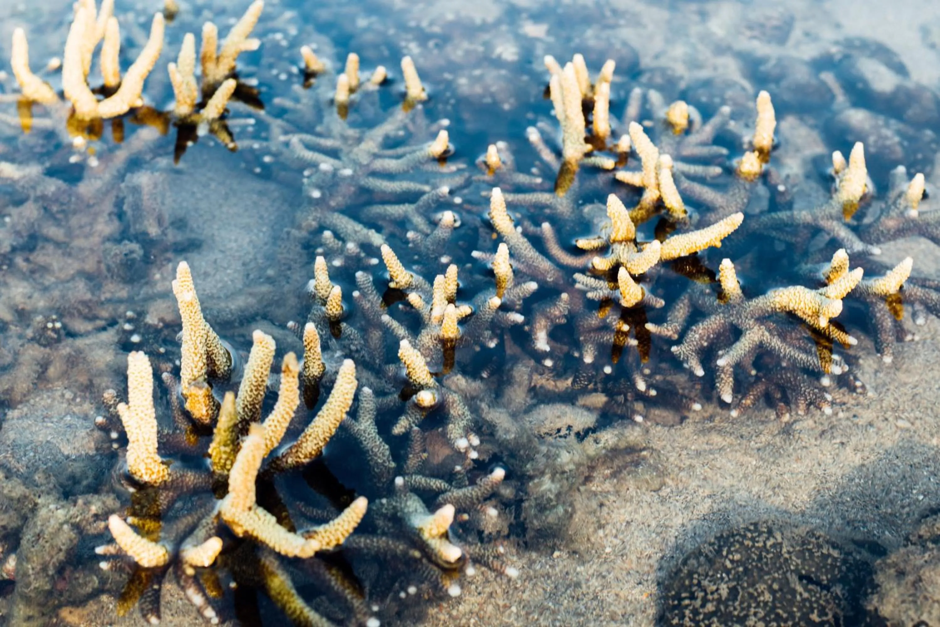 Off site in Railay Garden View Resort