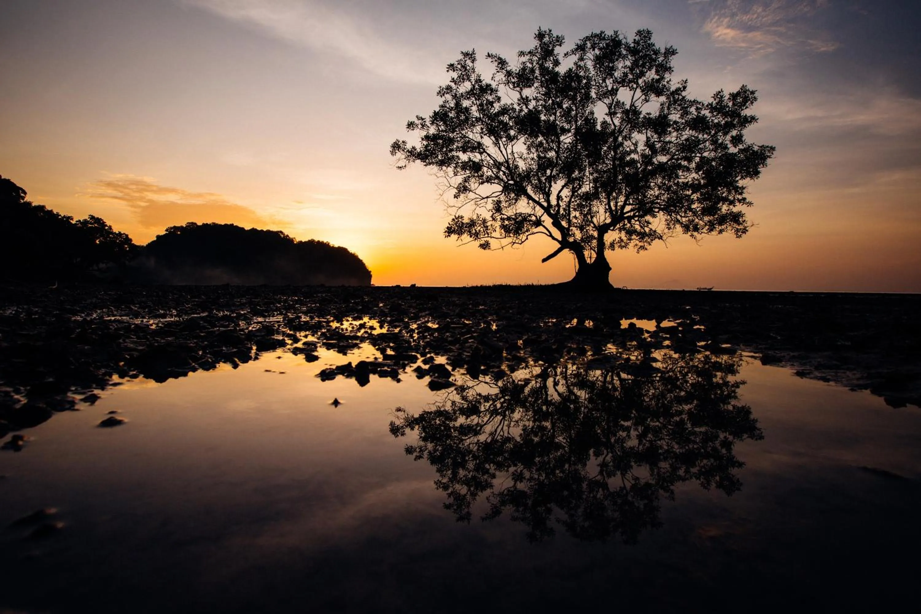 Natural landscape in Railay Garden View Resort