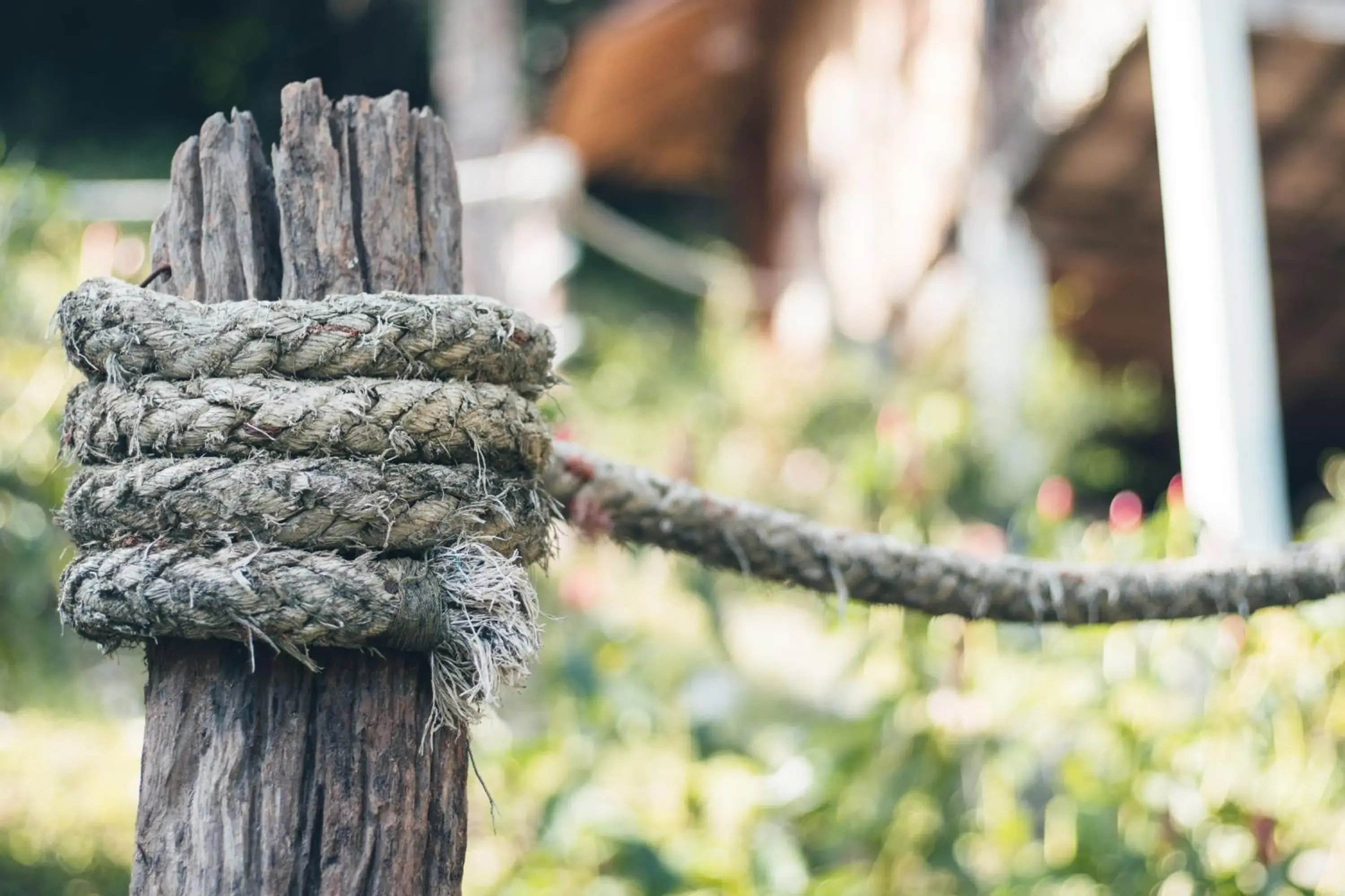 View (from property/room) in Railay Garden View Resort View (from property/room) in Railay Garden View Resort