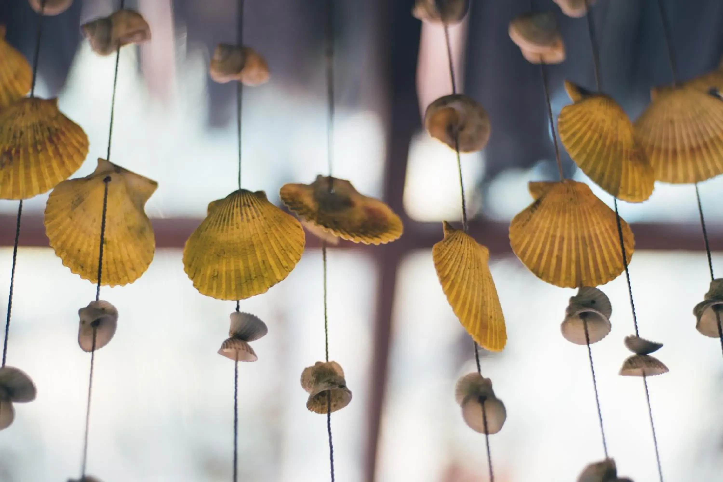 Area and facilities in Railay Garden View Resort Area and facilities in Railay Garden View Resort