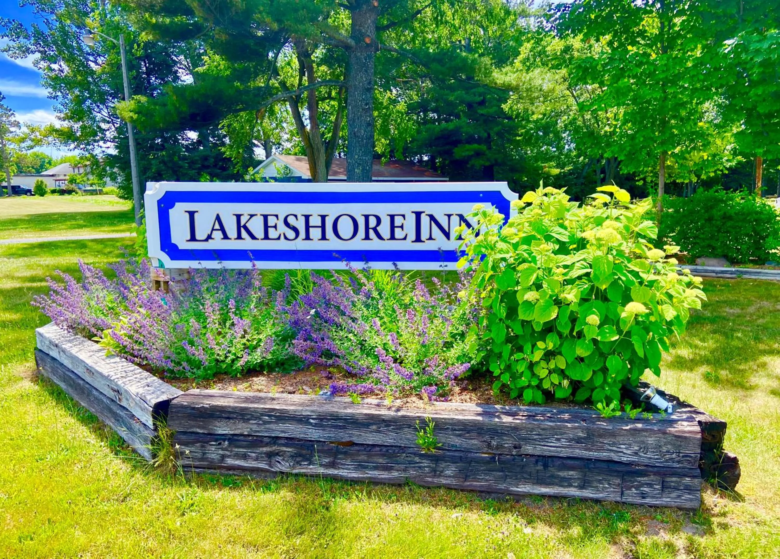 Natural landscape in Elk Rapids Lakeshore Inn
