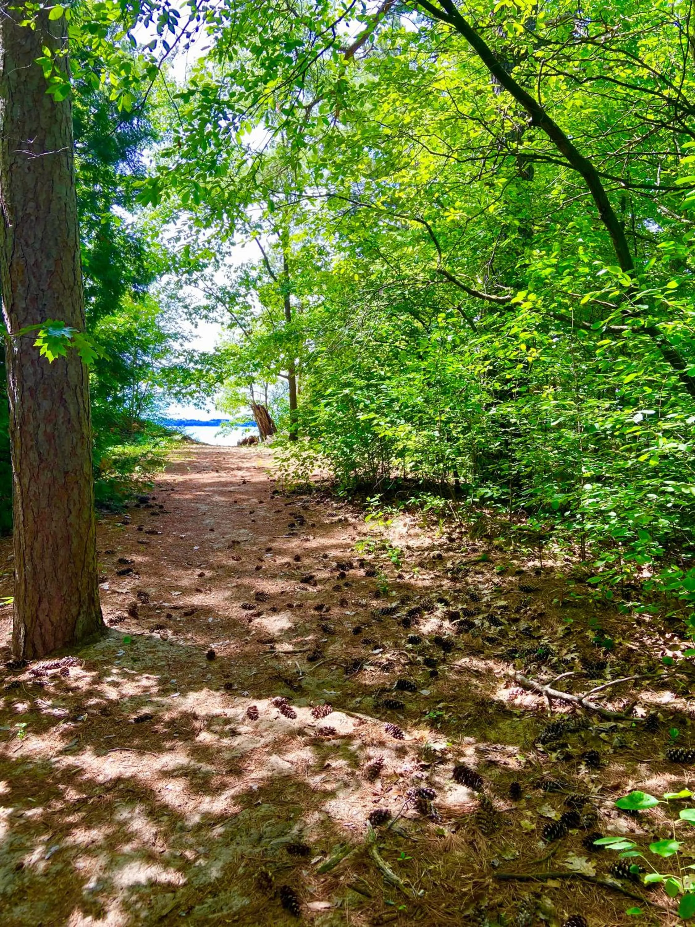 Beach in Elk Rapids Lakeshore Inn