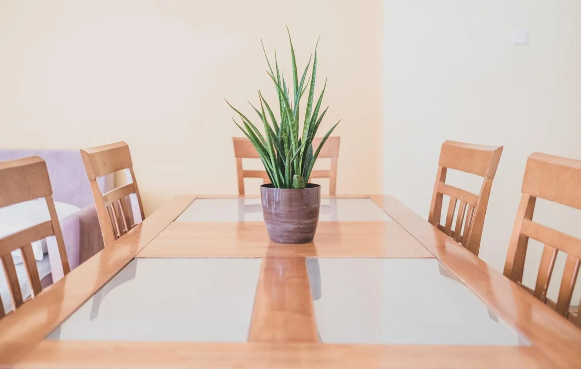 Photo of the whole room in Cybulskiego Guest Rooms