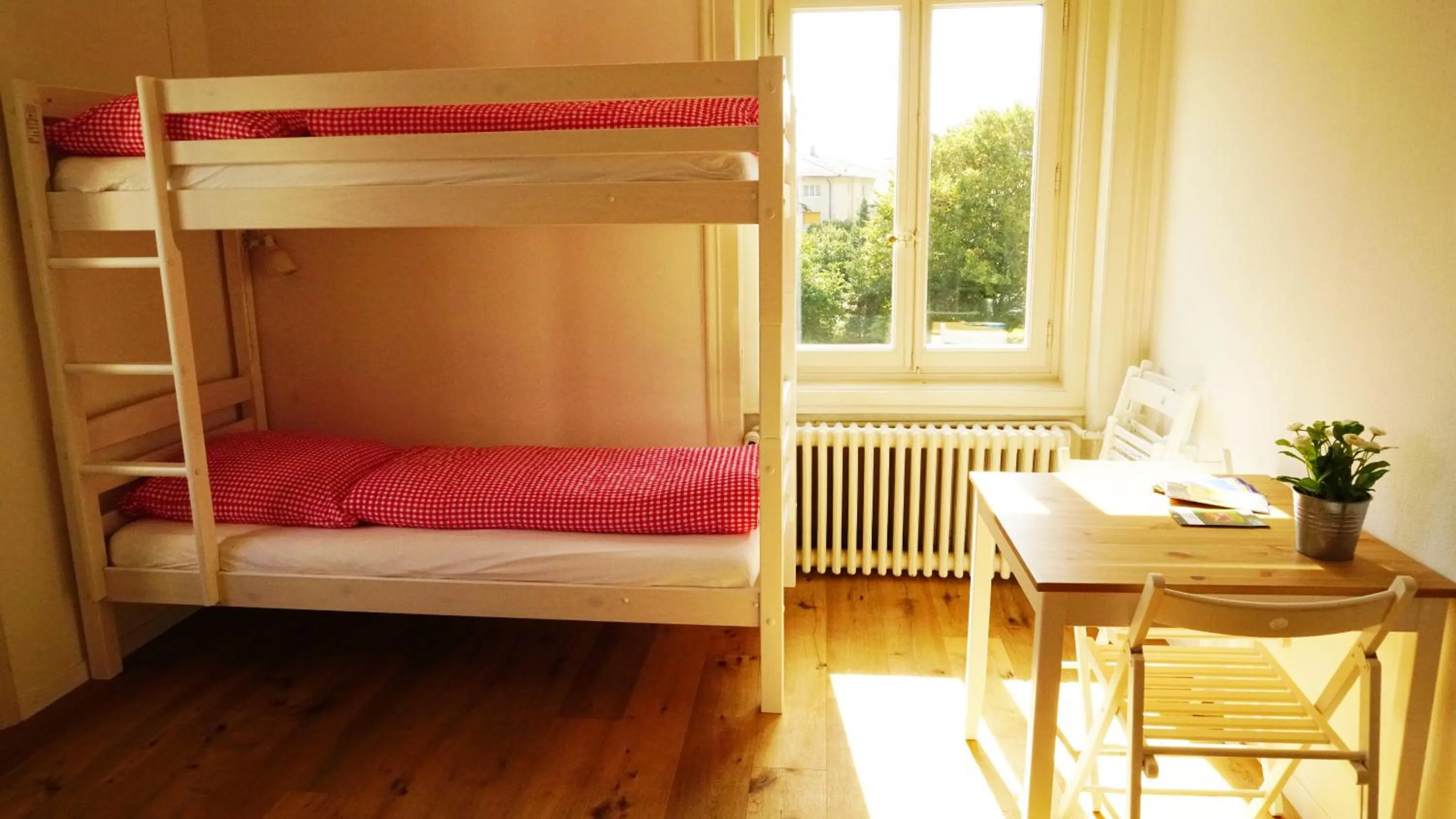 bunk bed, Bed in Adventure Hostel Interlaken