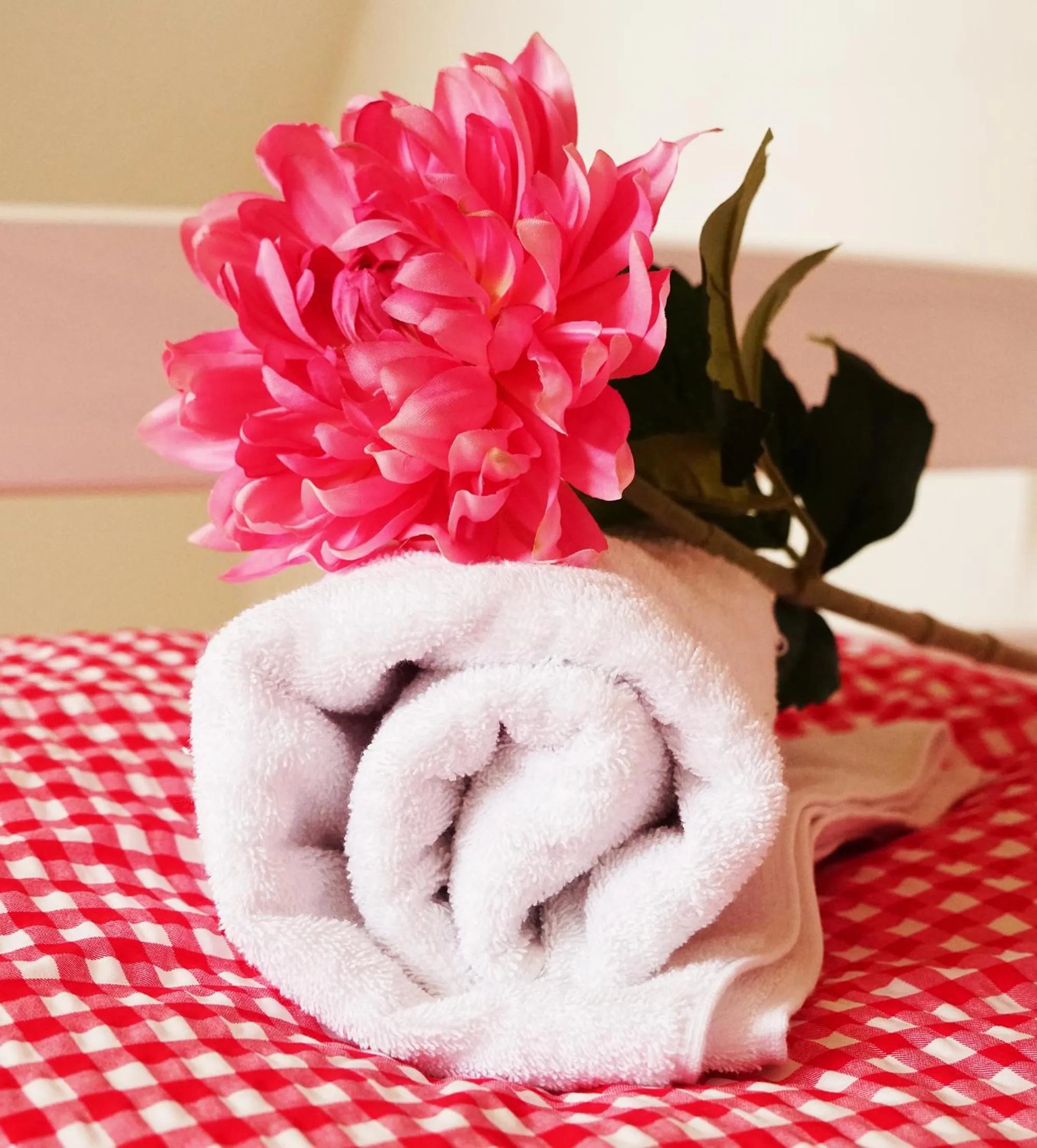 Other in Adventure Hostel Interlaken