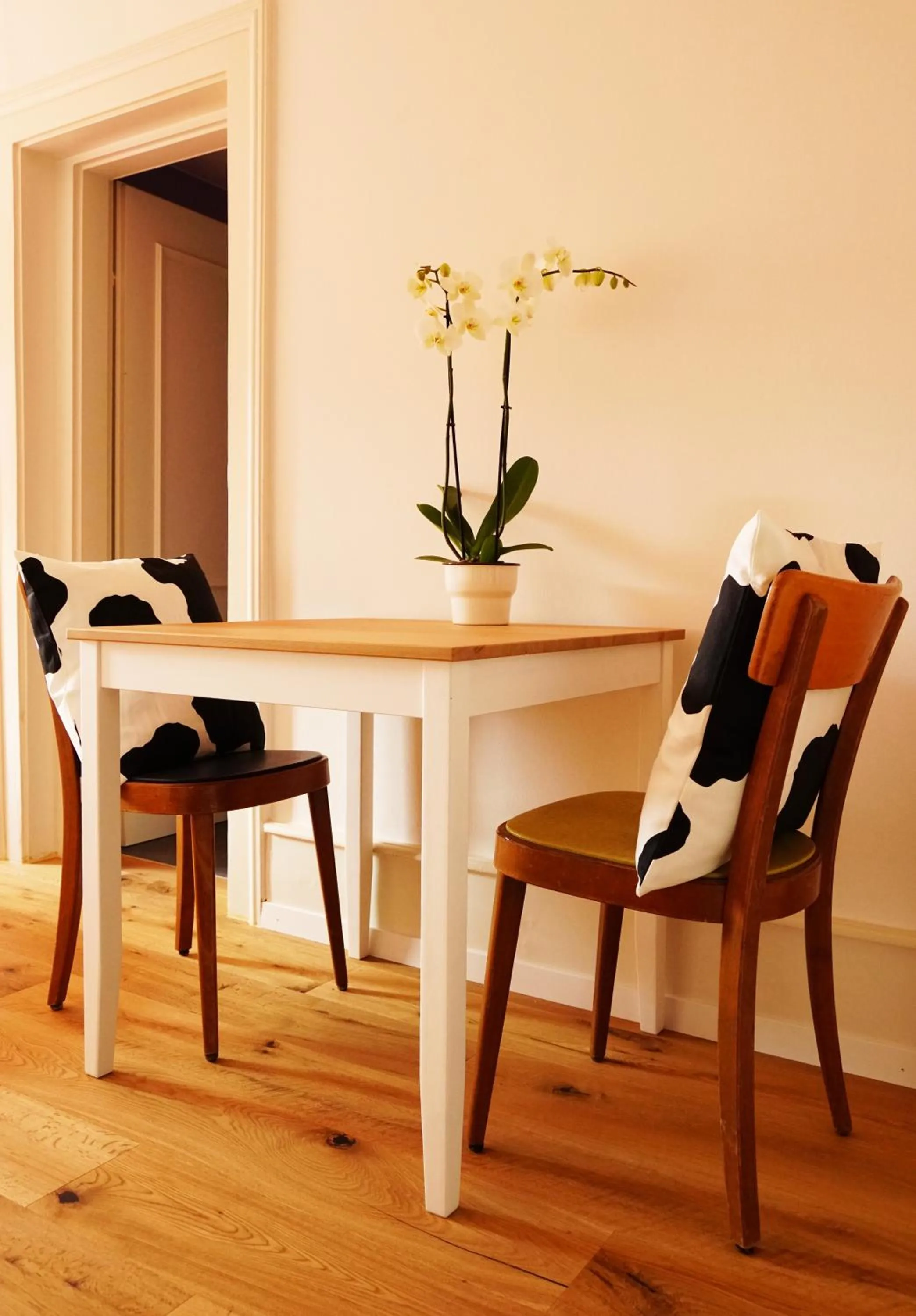 Seating area in Adventure Hostel Interlaken