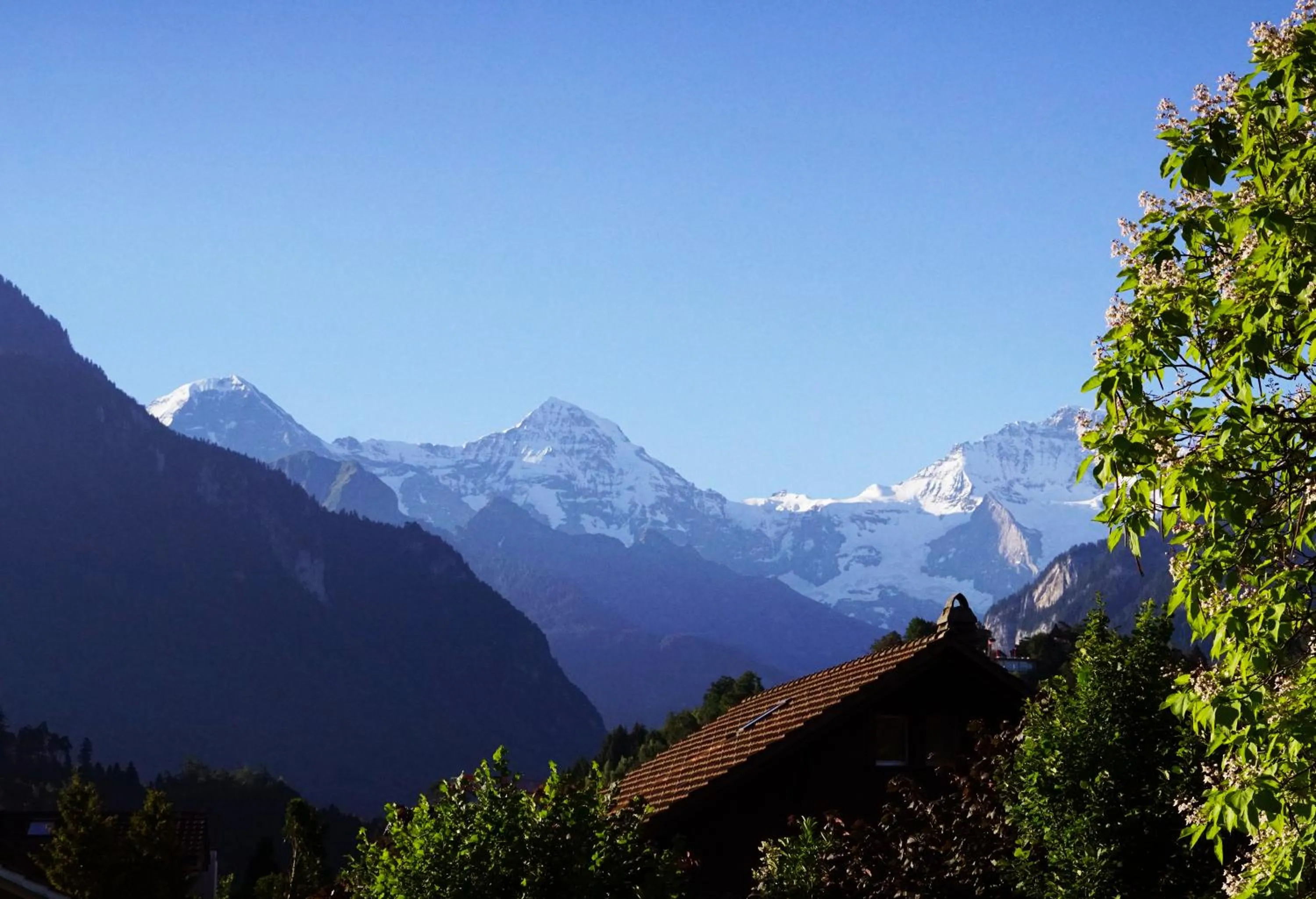 Living room in Adventure Hostel Interlaken